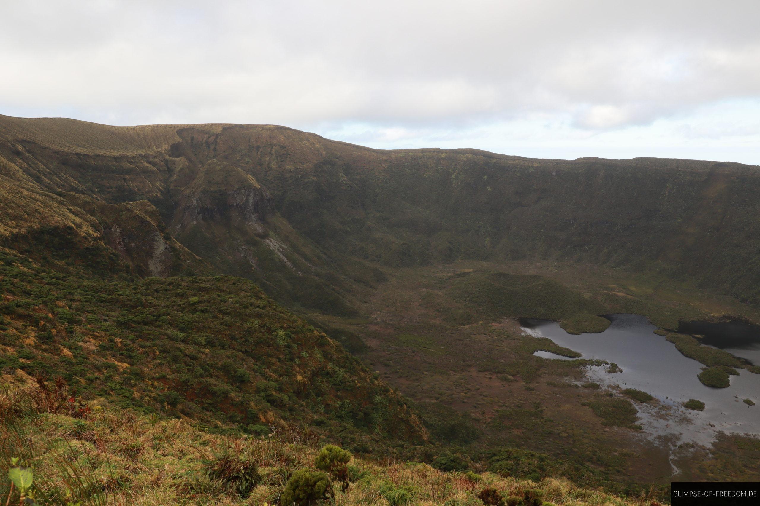 Azoren Vegetation im Caldeira scaled Azoren Vegetation im Caldeira