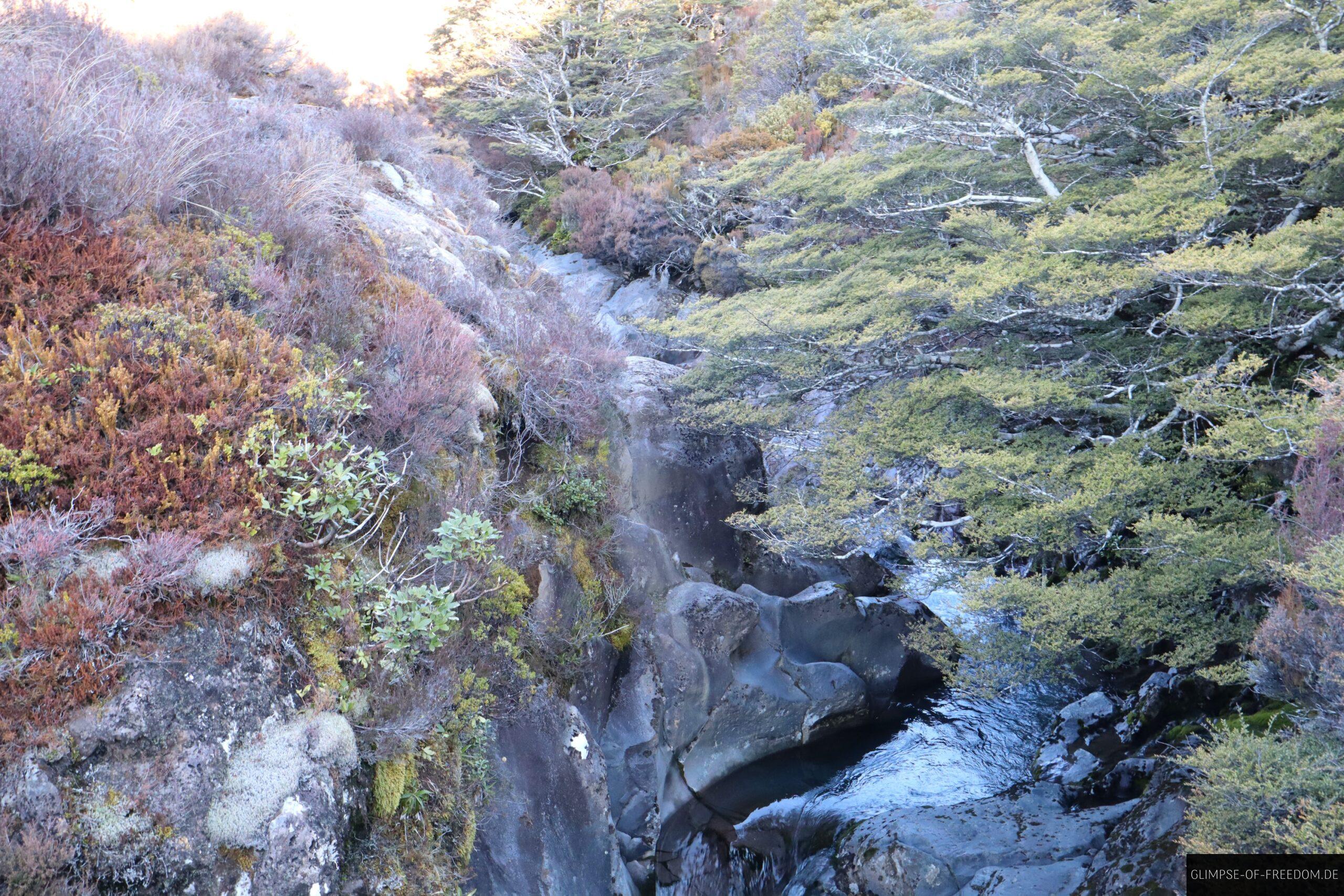 Bachlauf an den Taranaki Falls scaled Bachlauf an den Taranaki Falls