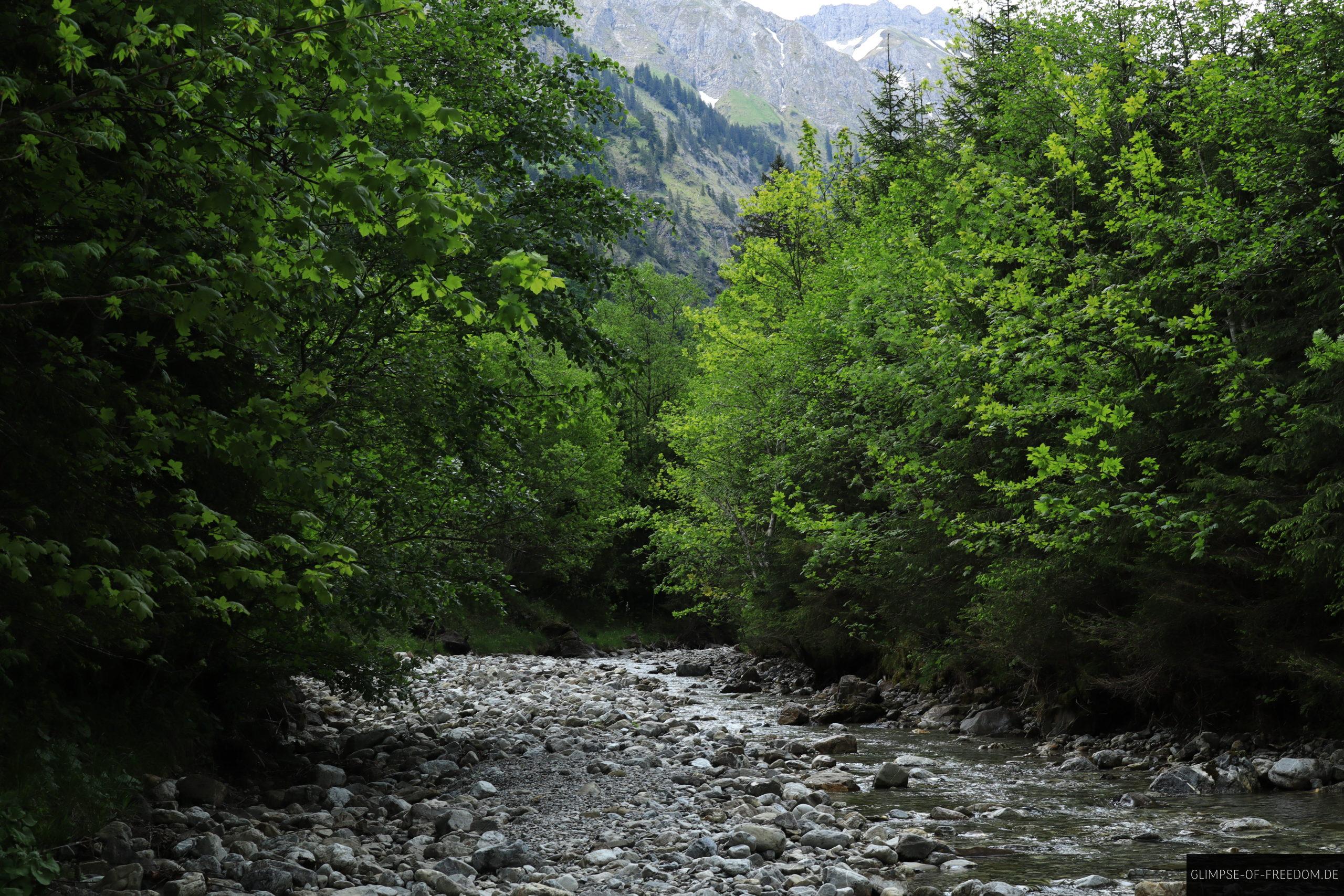 Bachverlauf im Gruenen scaled Bachverlauf im Grünen