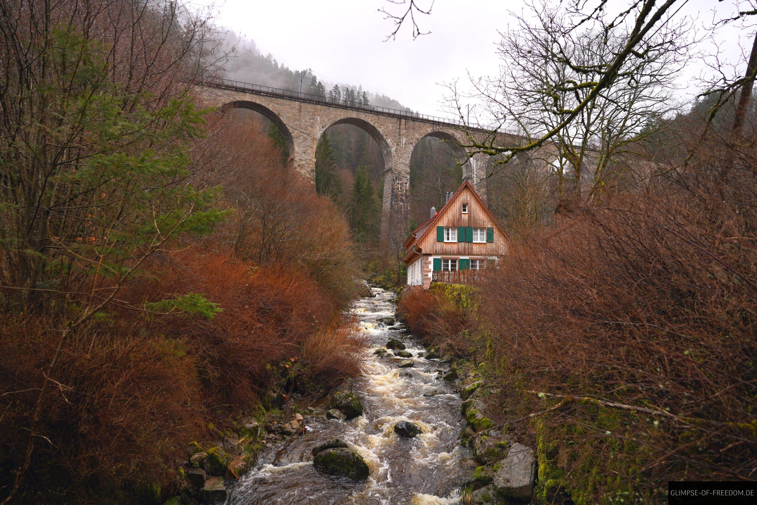 Backlauf an am Hofgut im Schwarzwald scaled Backlauf an am Hofgut im Schwarzwald