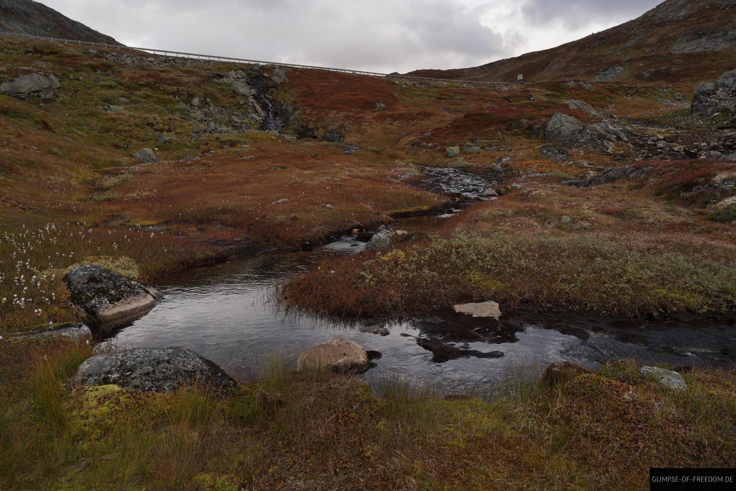 Backlauf an der strasse vor geiranger Backlauf an der strasse vor geiranger