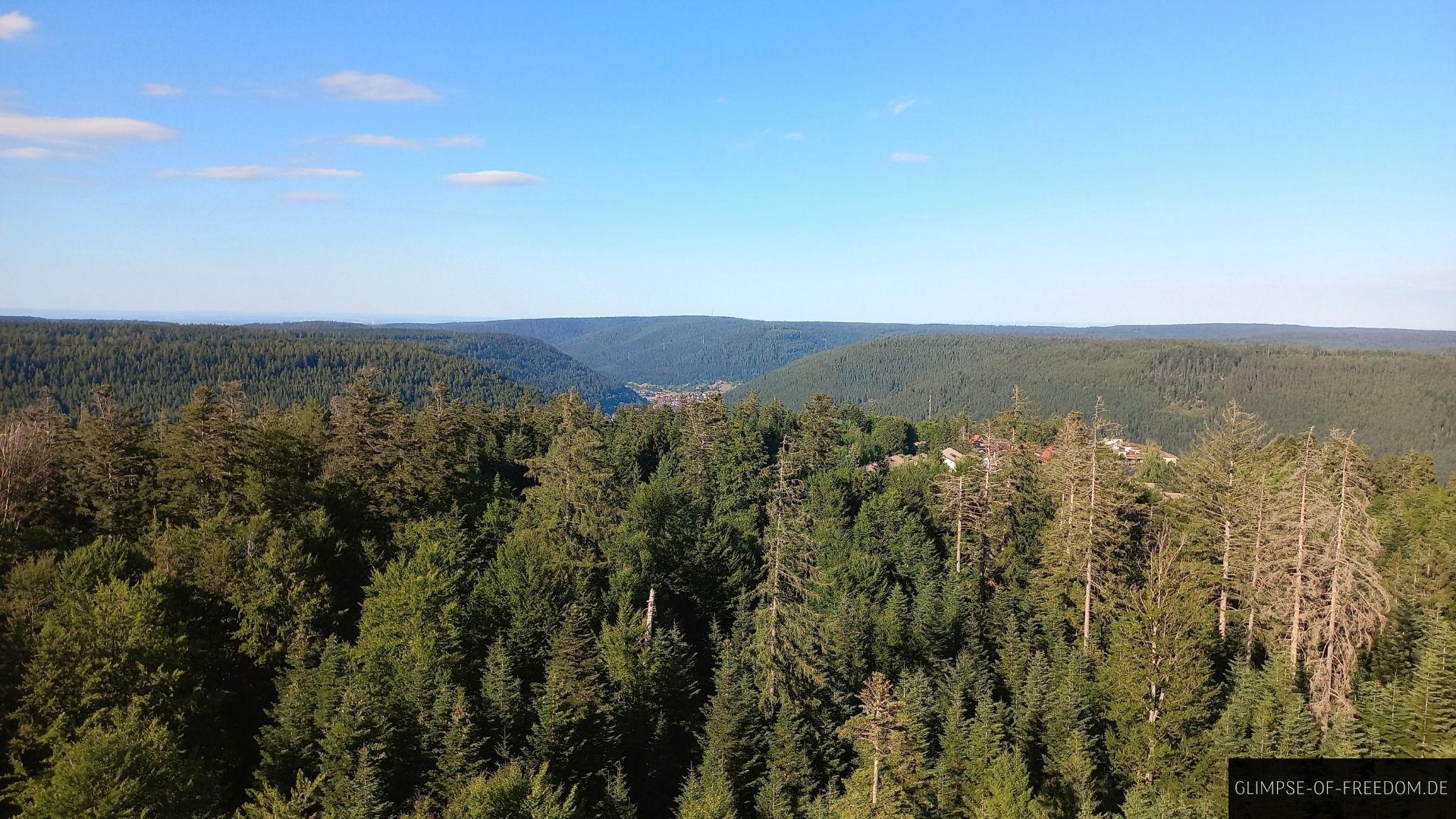 Bad Wildbad Aussicht Bad Wildbad Aussicht