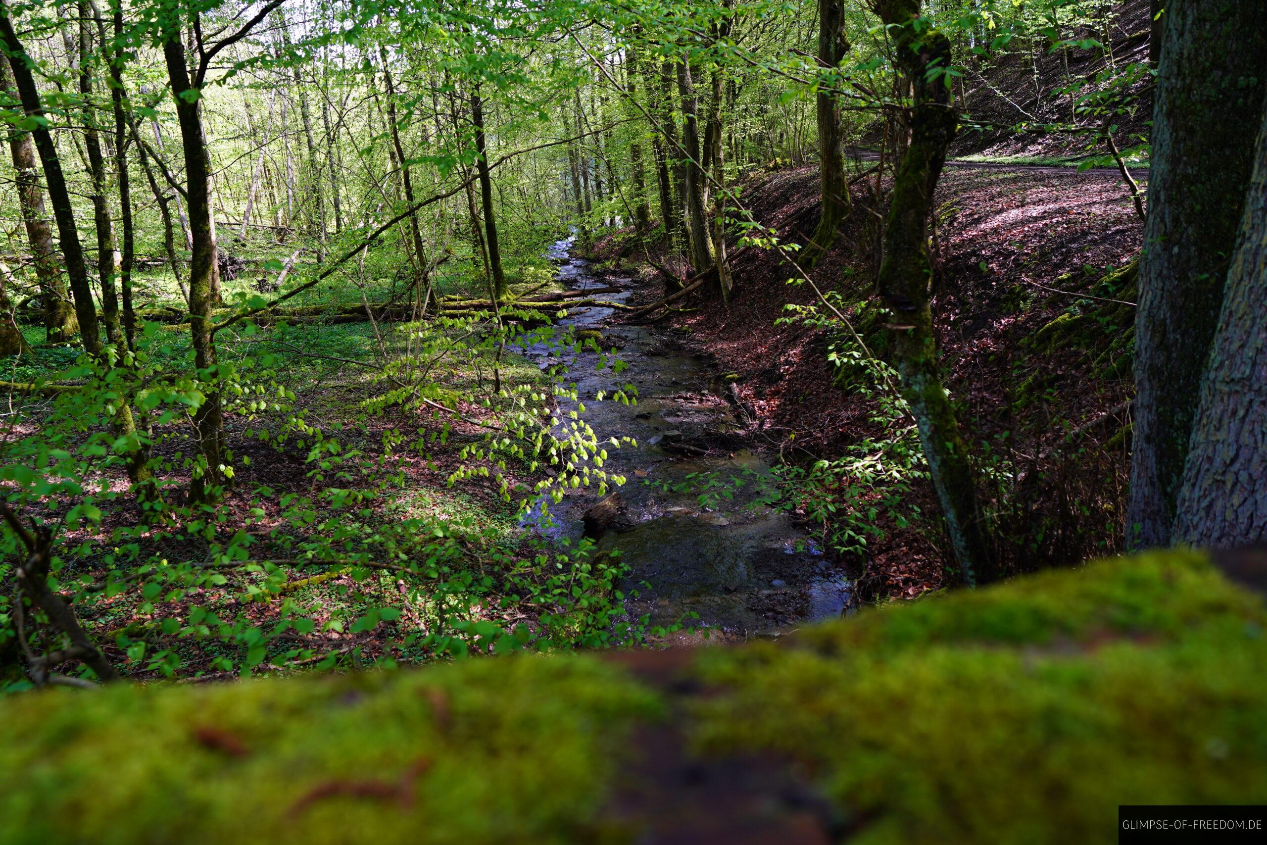 Baerenbach scaled Bärenbach