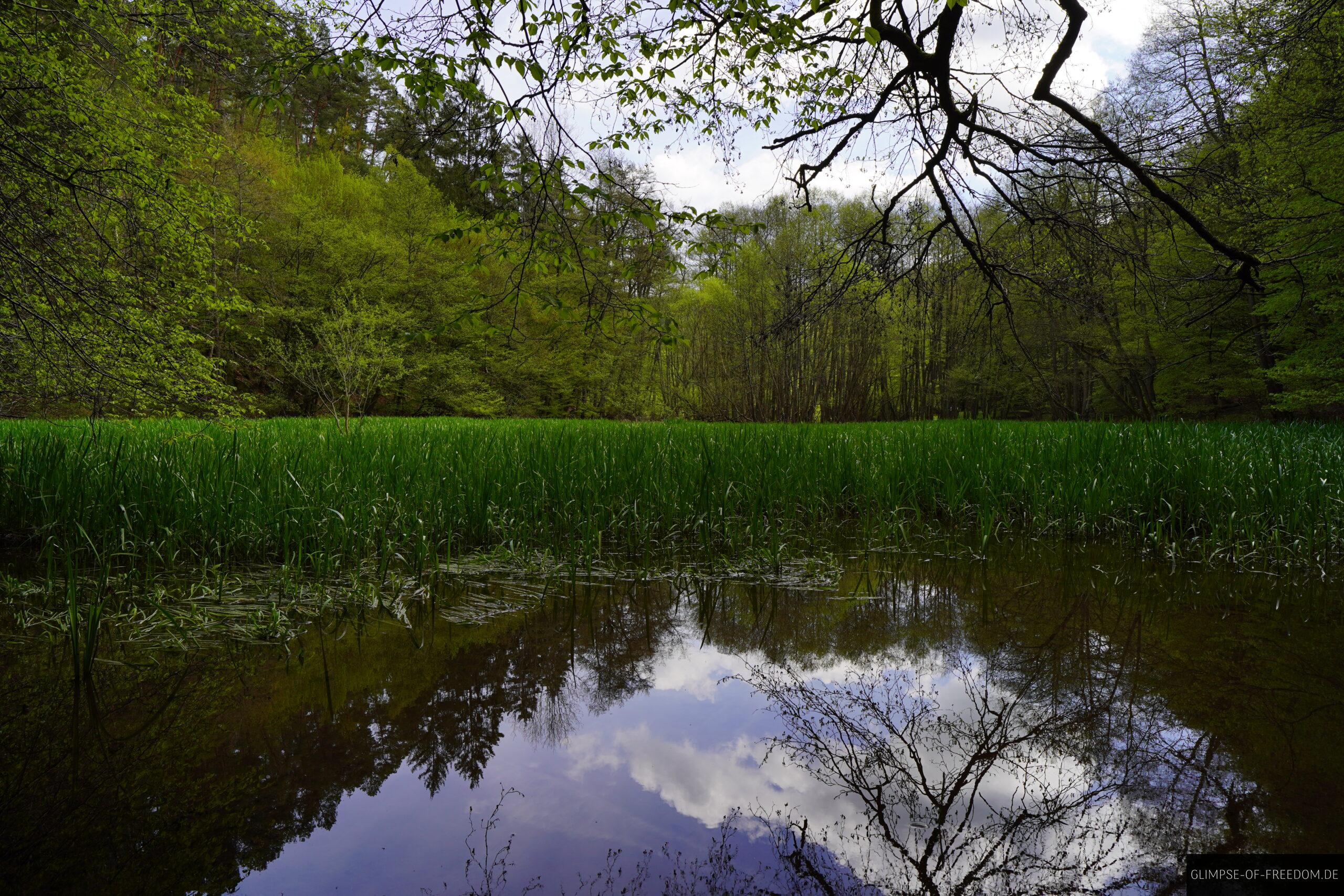 Bahnfeebach scaled Bahnfeebach