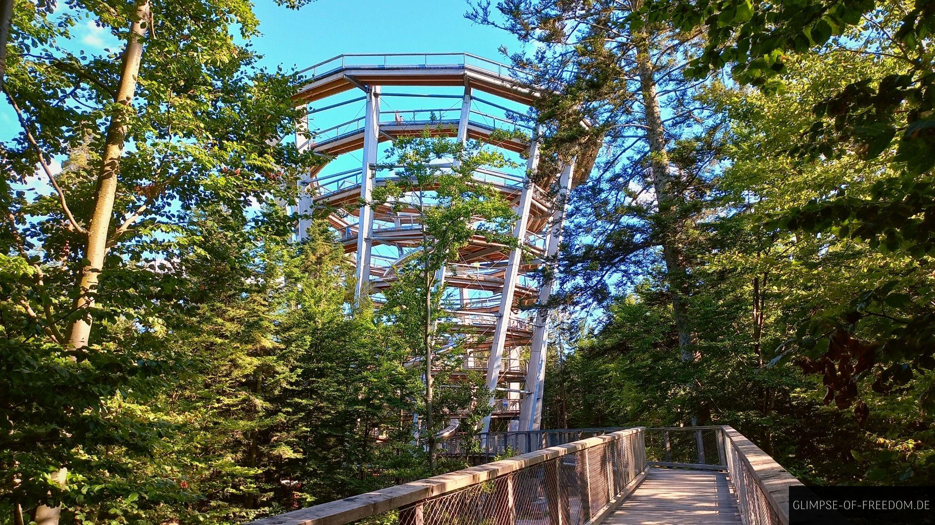 Baumwipfelpfad Schwarzwald Baumwipfelpfad Schwarzwald