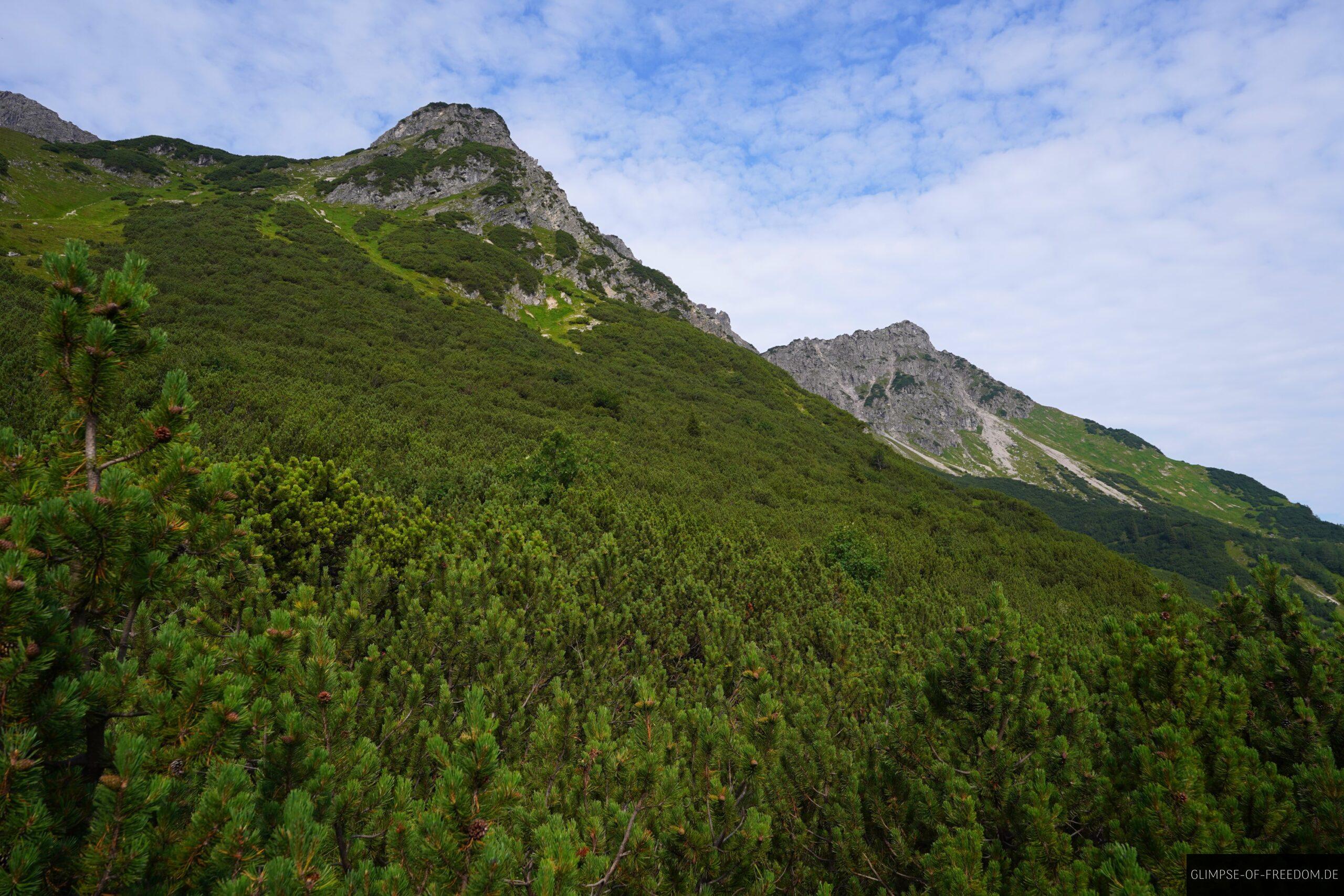 Bergblick ueber grosse Latschen Landschaft scaled Bergblick über große Latschen Landschaft