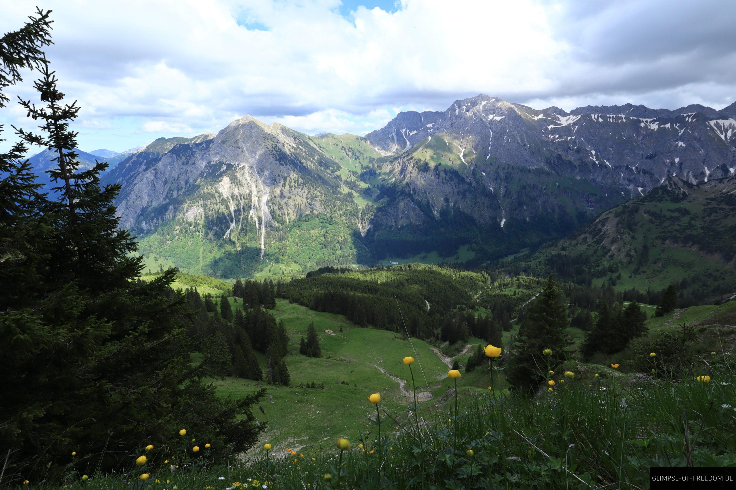 Bergblumen im Vordergrund mit Daumenkette im Hintergrund scaled Bergblumen im Vordergrund mit Daumenkette im Hintergrund