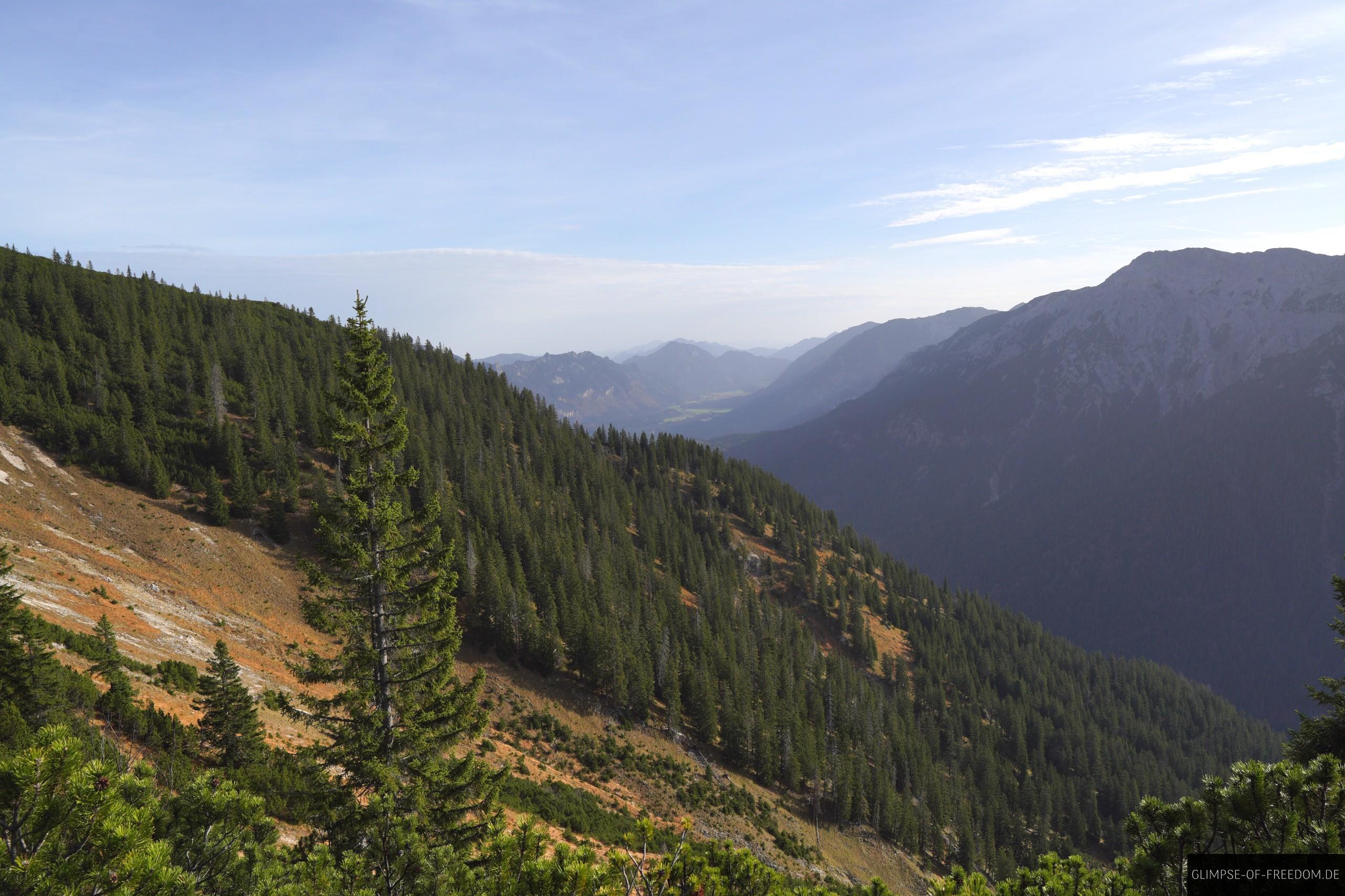 Berghang der Scheinbergspitze Berghang der Scheinbergspitze