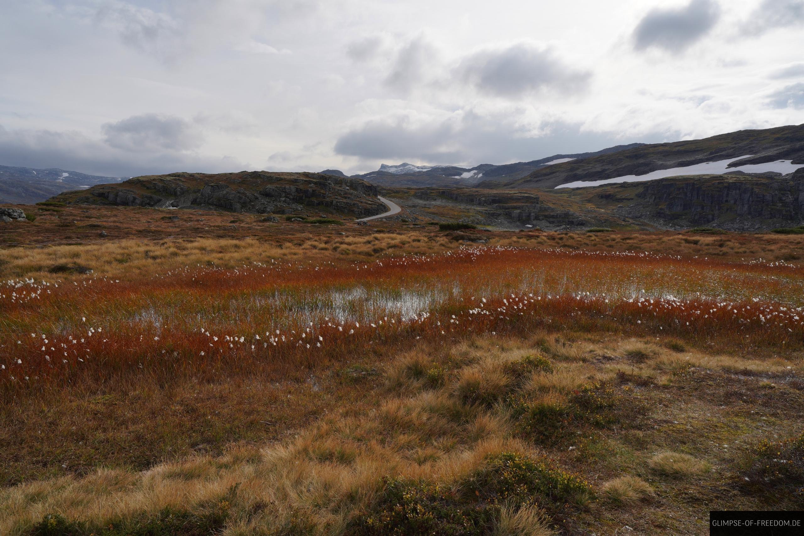 Bergsee mit Blumen in Norwegen Bergsee mit Blumen in Norwegen