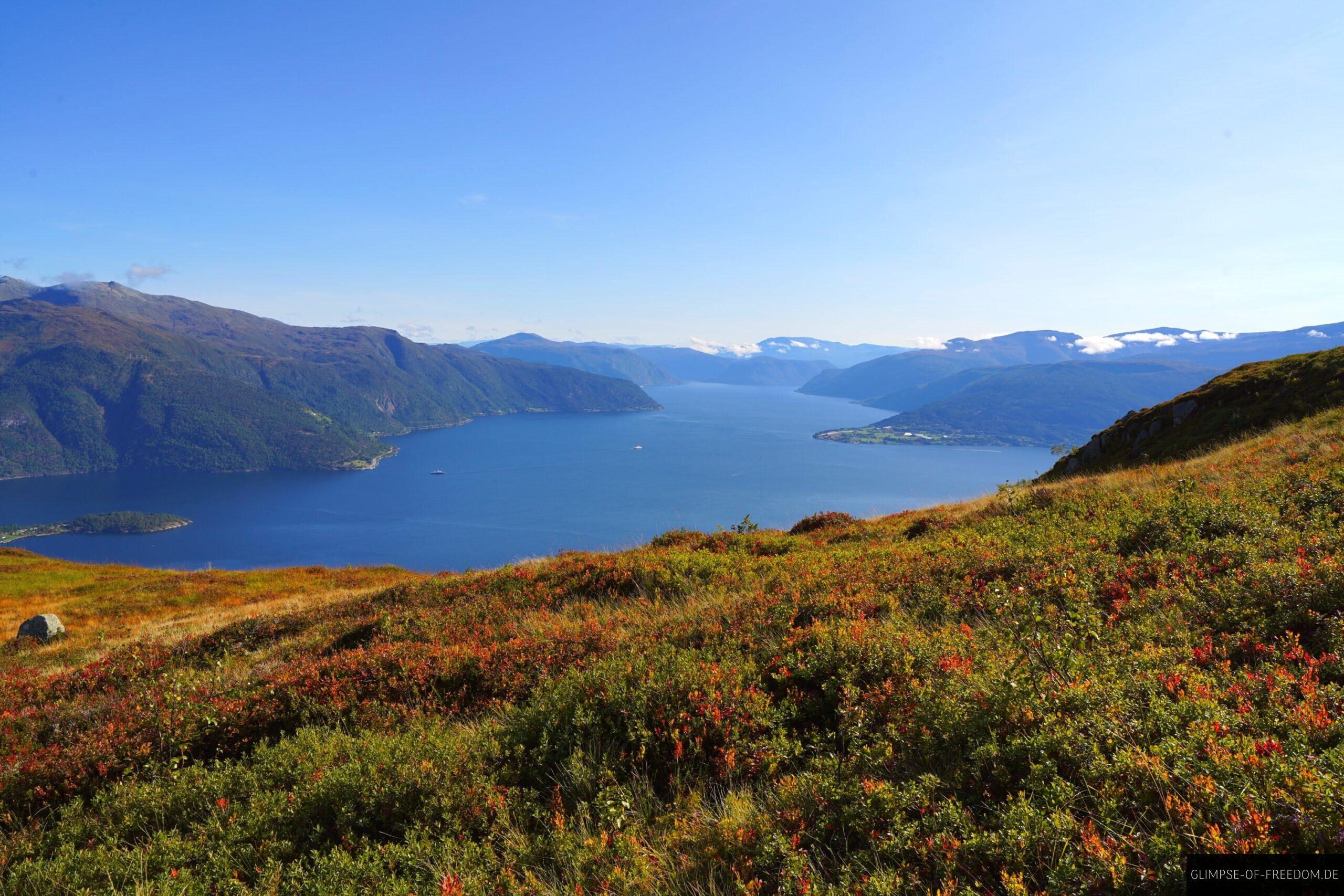 Blaubeeren im Vordergrund des gigantischen Fjords scaled Blaubeeren im Vordergrund des gigantischen Fjords