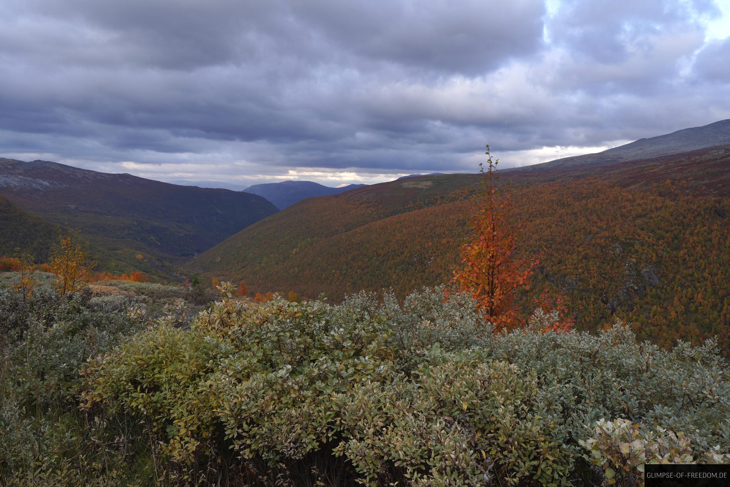 Blick Richtung Talfahrt Blick Richtung Talfahrt
