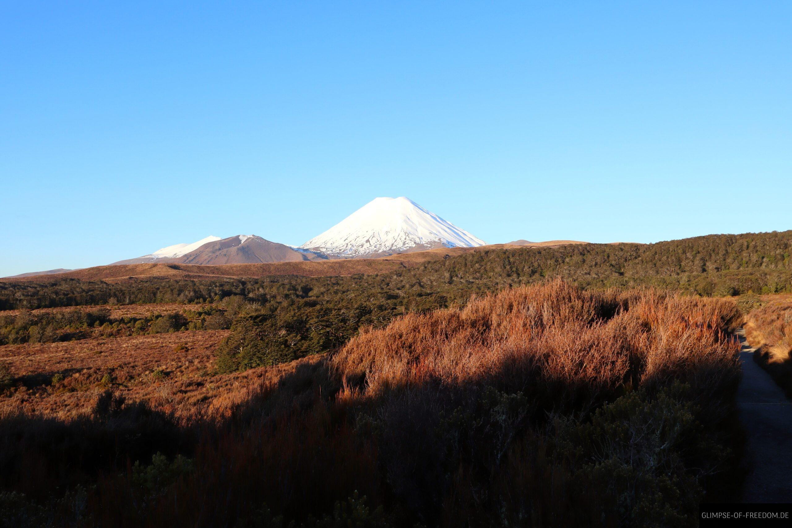 Blick auf Mount Ngauruhoe in der neuseelaendischen Landschaft scaled Blick auf Mount Ngauruhoe in der neuseeländischen Landschaft