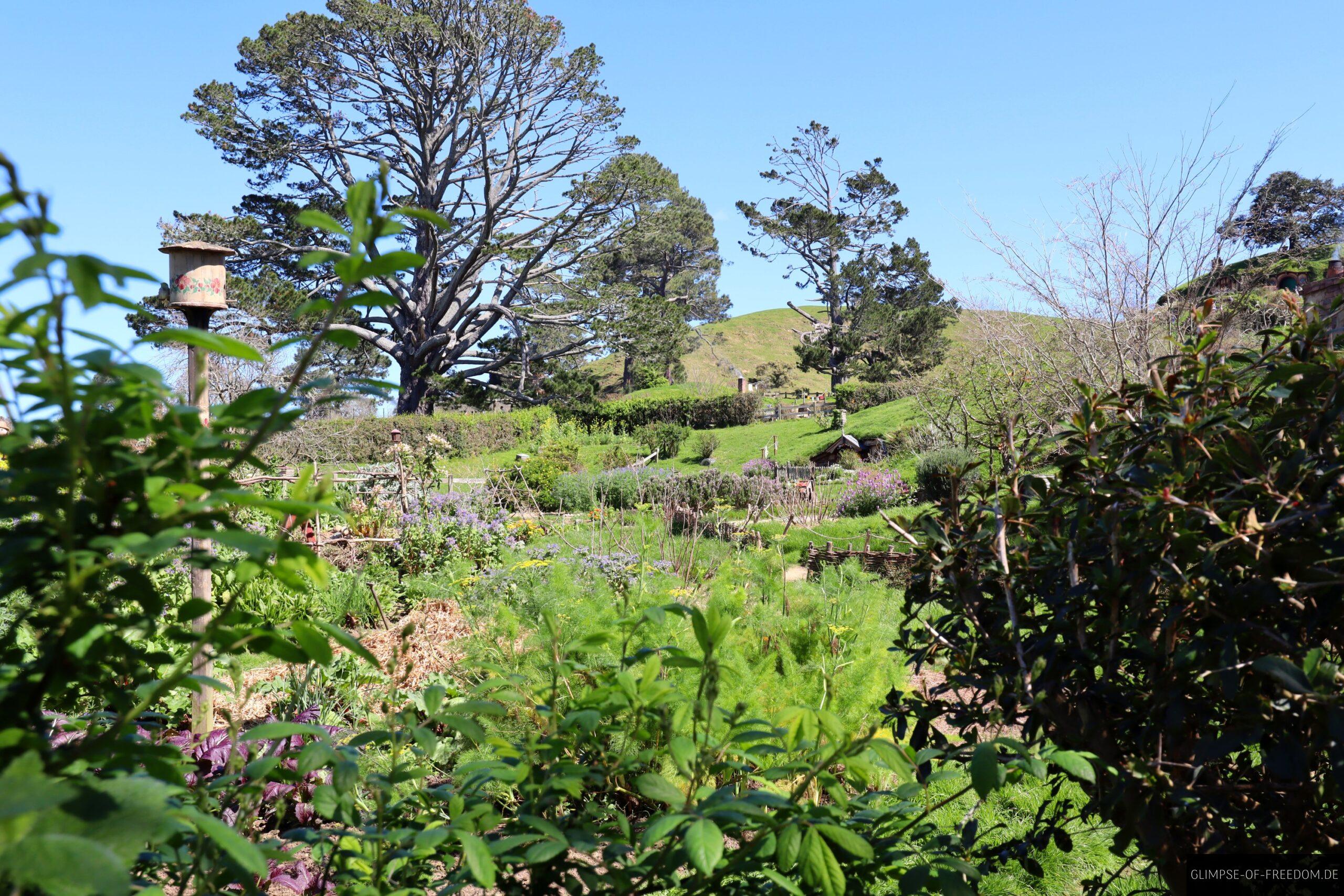 Blick auf den Garten im Auenland scaled Blick auf den Garten im Auenland