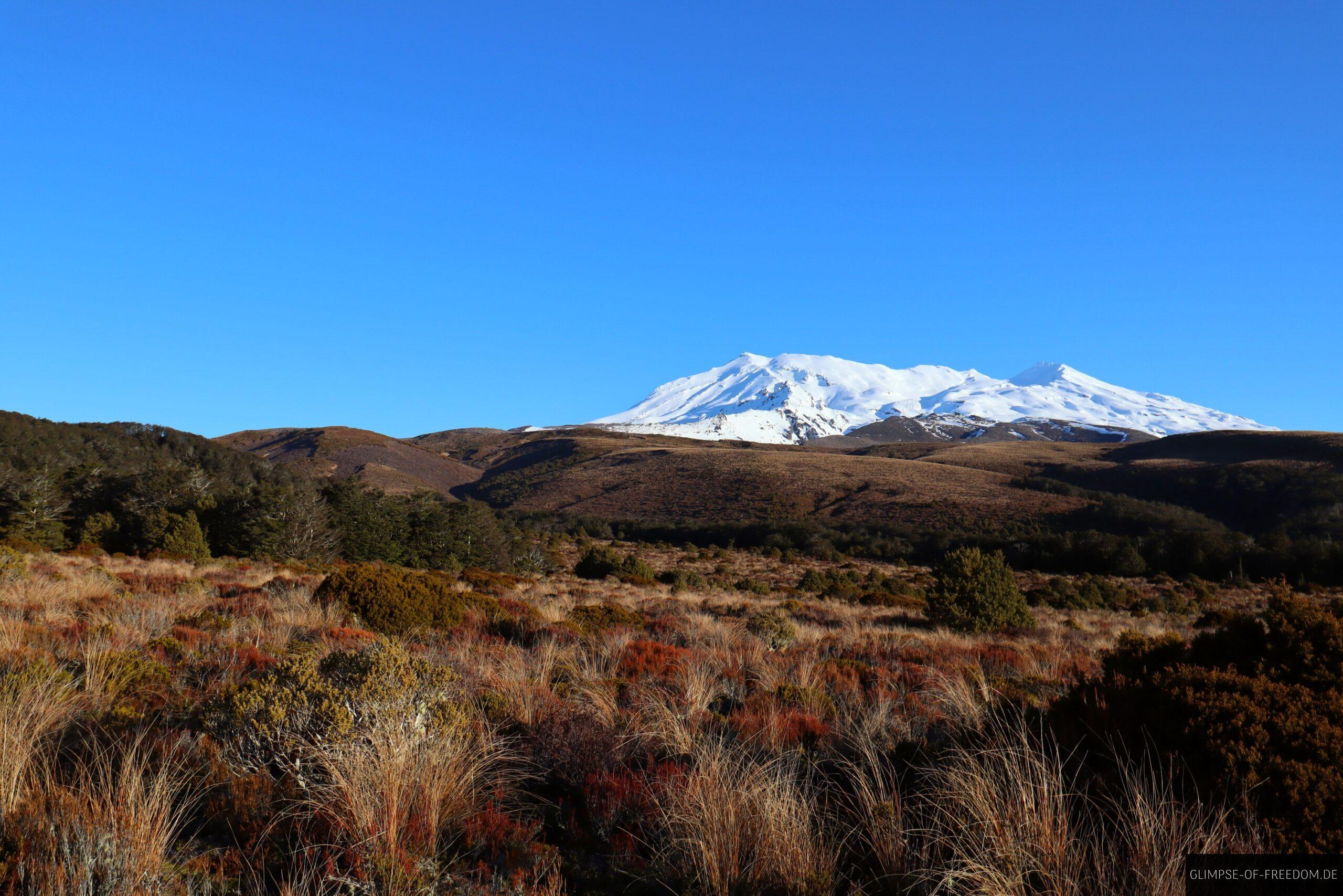 Blick auf den Mount Ruapehu in der Natur Neuseelands scaled Blick auf den Mount Ruapehu in der Natur Neuseelands