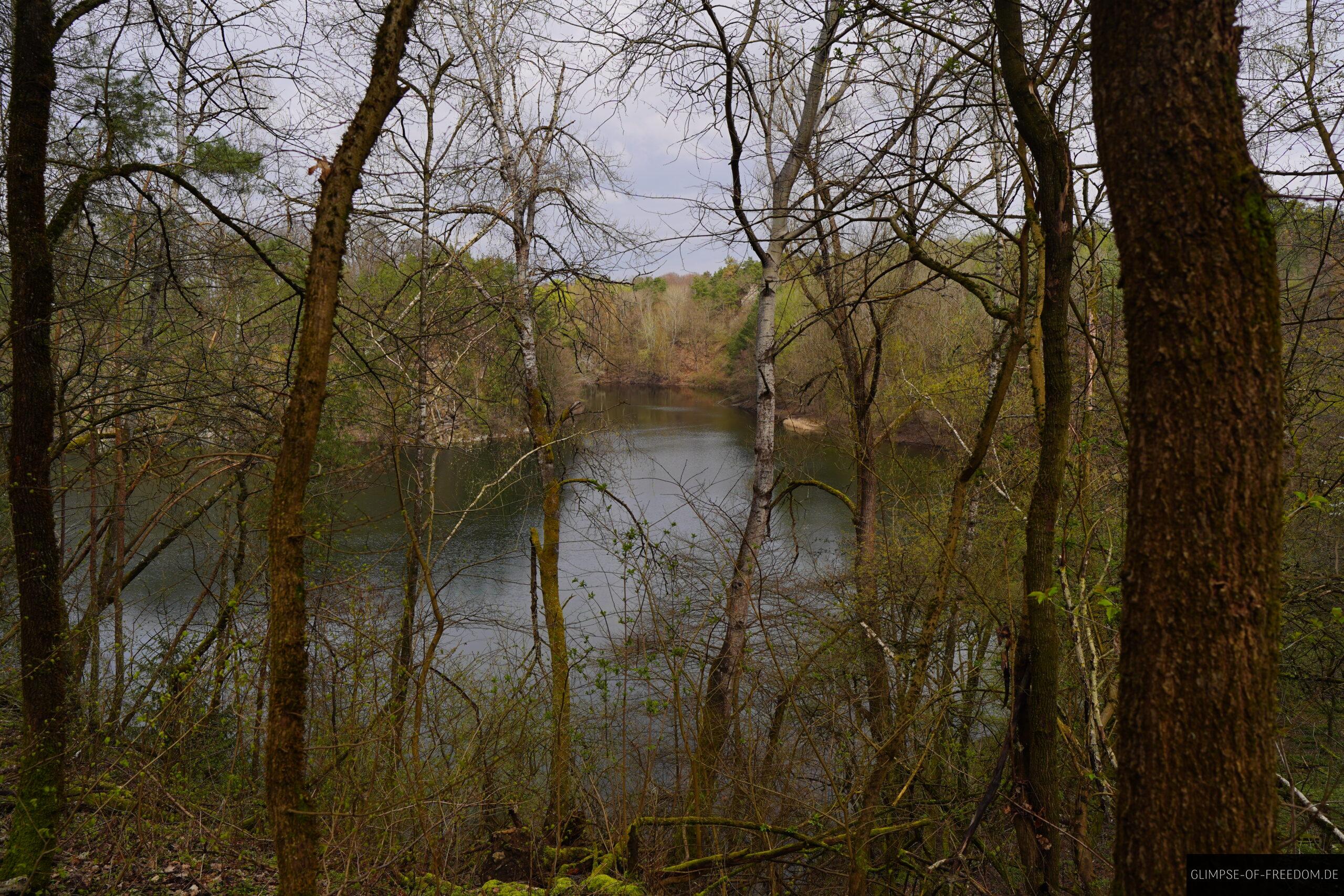 Blick auf den Oberwaldsee durch die Baeume scaled Blick auf den Oberwaldsee durch die Bäume
