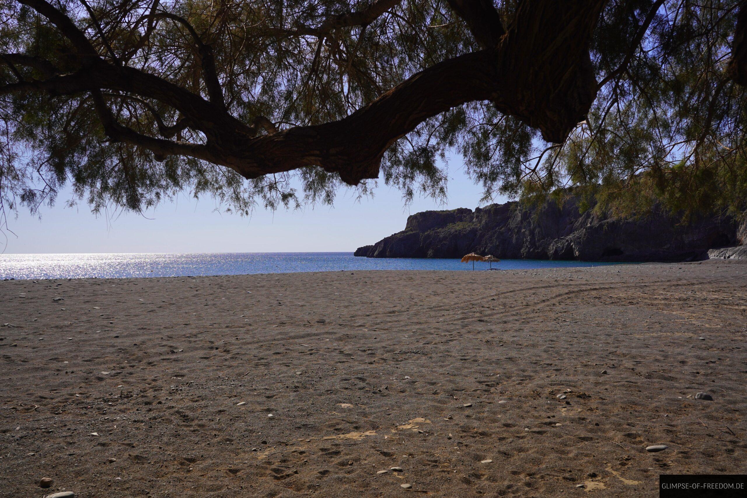 Blick auf den Paralia Tripiti unter einem Baum scaled Blick auf den Paralia Tripiti unter einem Baum