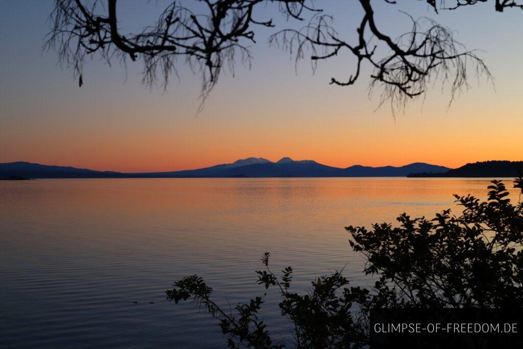 Blick auf den Taupo See unter den Bäumen