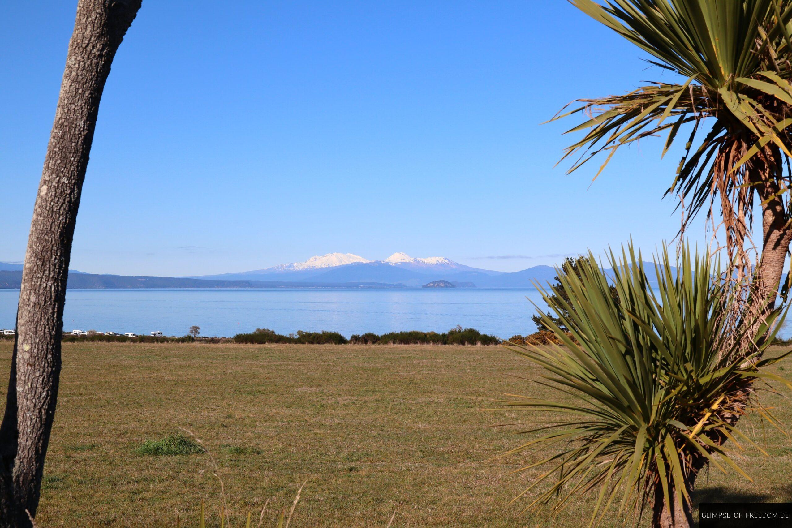 Blick auf den lake Taupo durch die Palmen scaled Blick auf den lake Taupo durch die Palmen