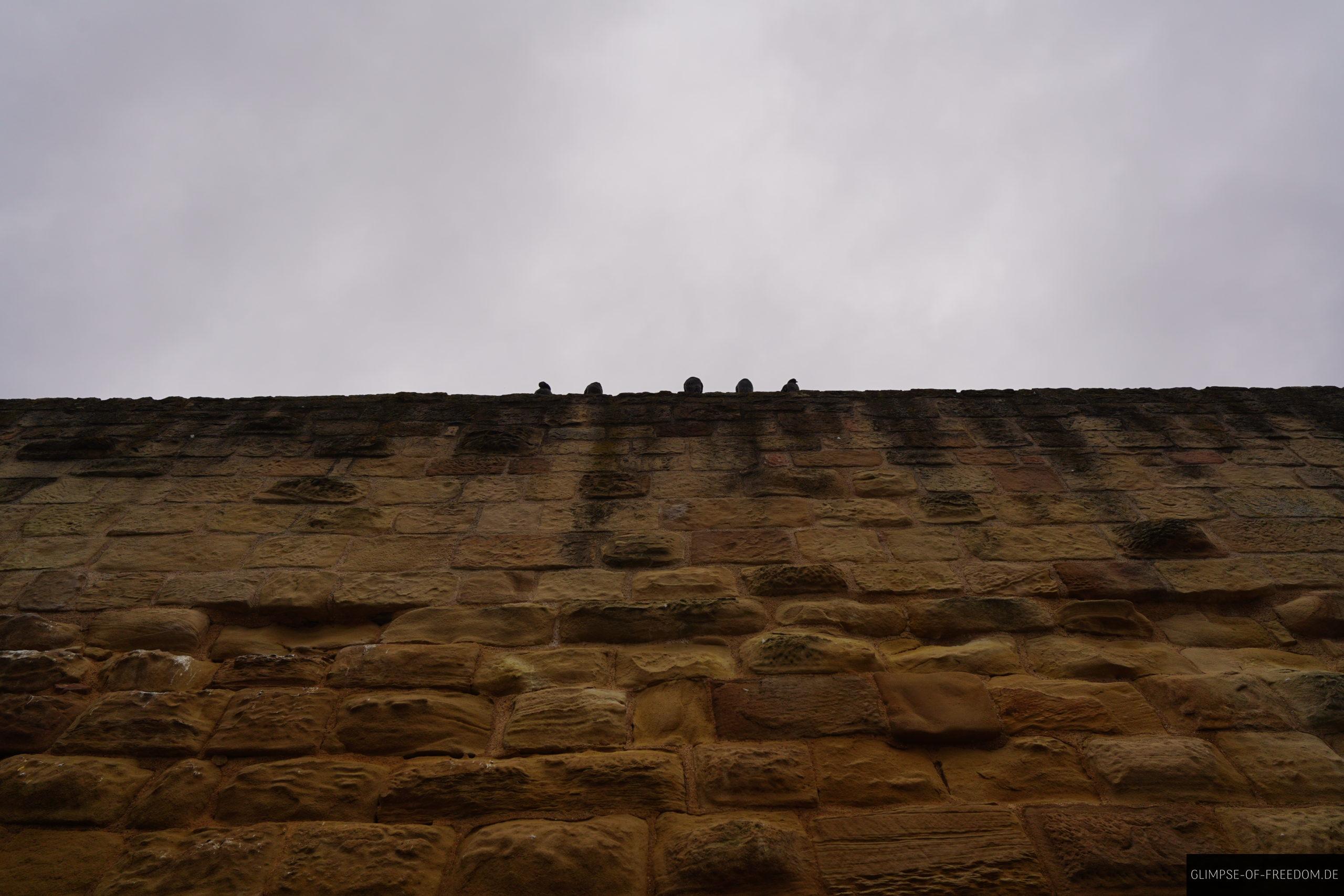 Blick die Burgmauern hinauf