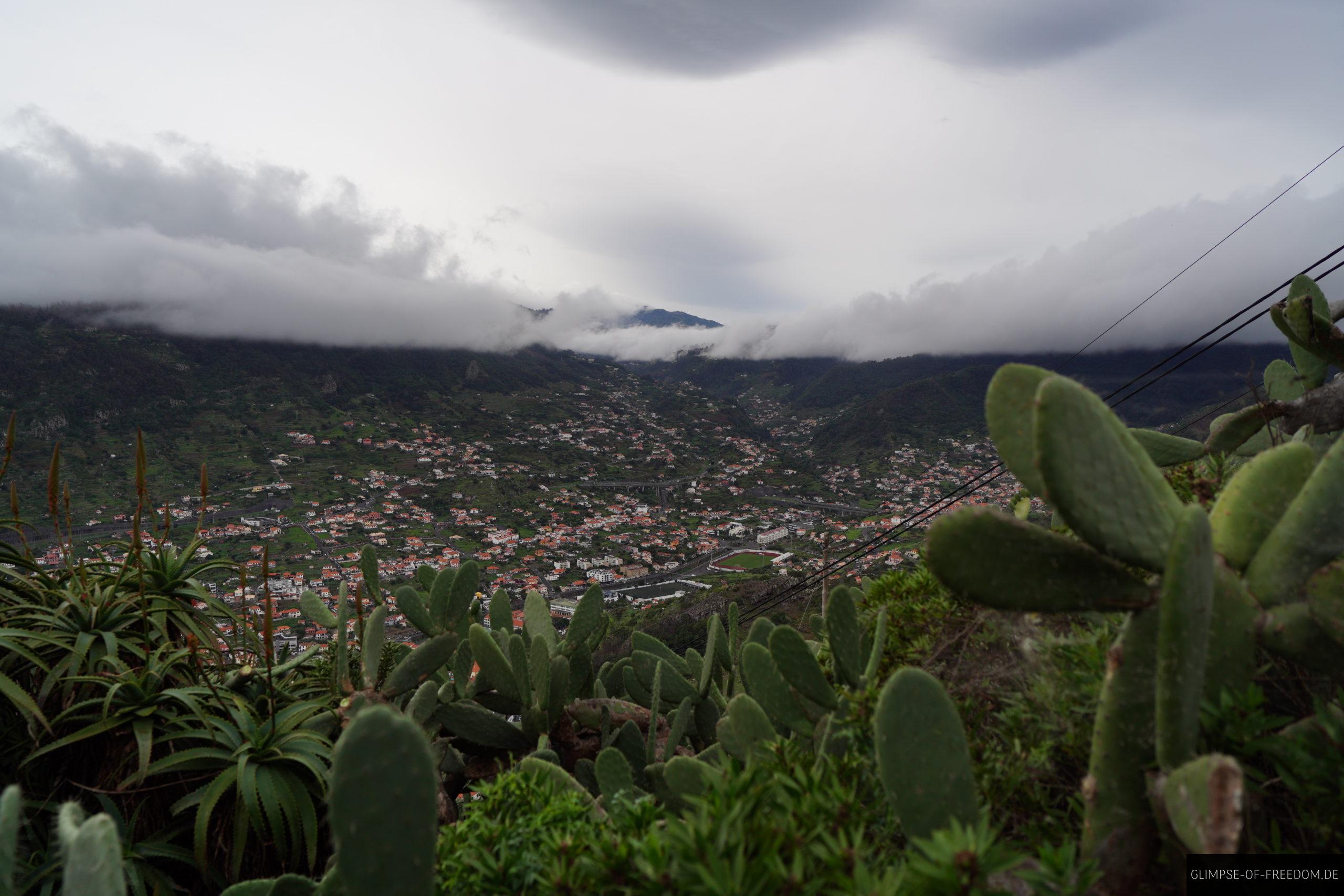 Blick durch die Kakteen nach Machico scaled Blick durch die Kakteen nach Machico