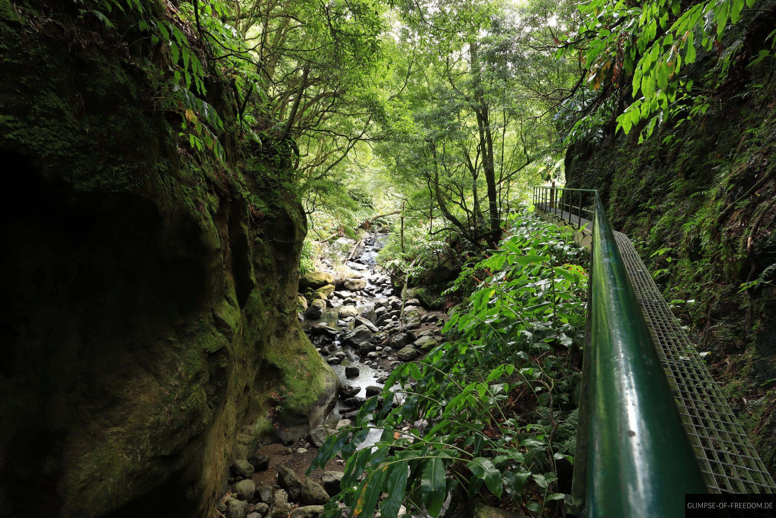 Blick durch die Schlucht auf Sao Miguel scaled Blick durch die Schlucht auf Sao Miguel