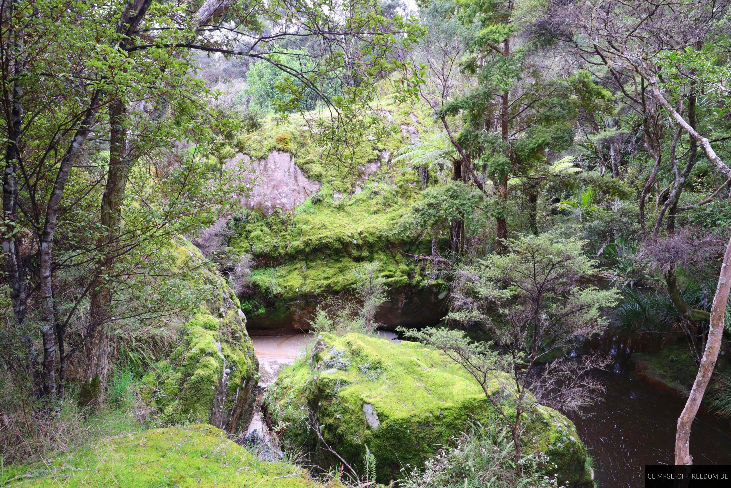 Blick durch die Wairere Boulders scaled Blick durch die Wairere Boulders