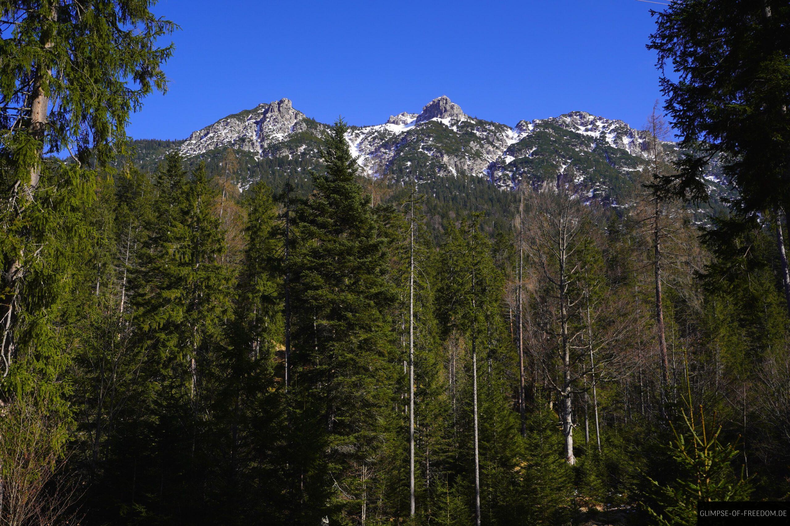 Blick in die Berge vom Huettlebachklamm Wanderweg scaled Blick in die Berge vom Hüttlebachklamm Wanderweg