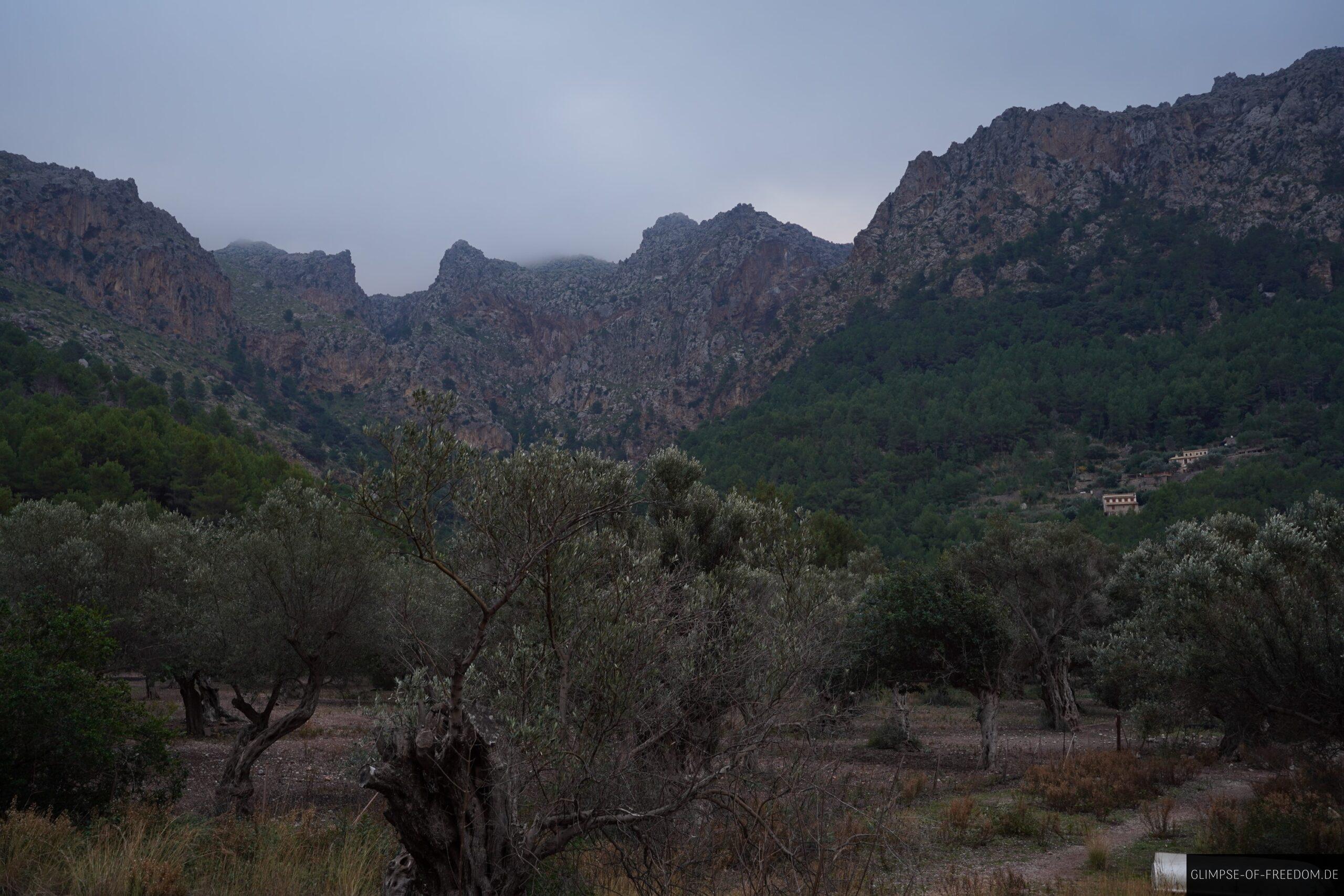 Blick in die Berge von der Cala Tuent scaled Blick in die Berge von der Cala Tuent