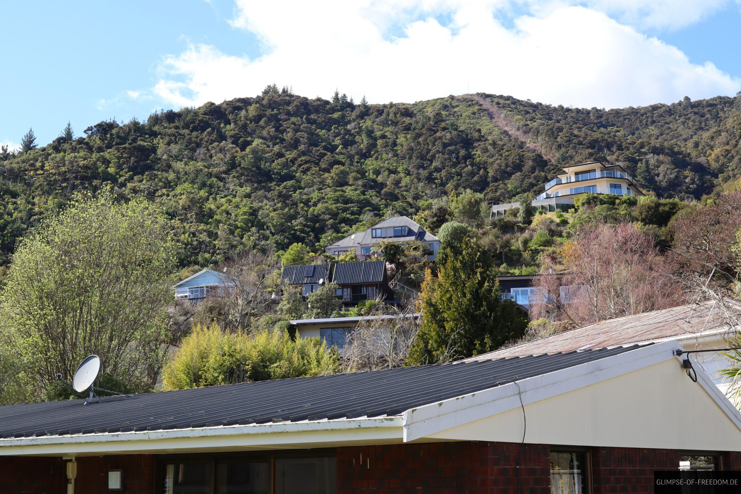 Blick ins Gruene scaled Blick ins Grüne