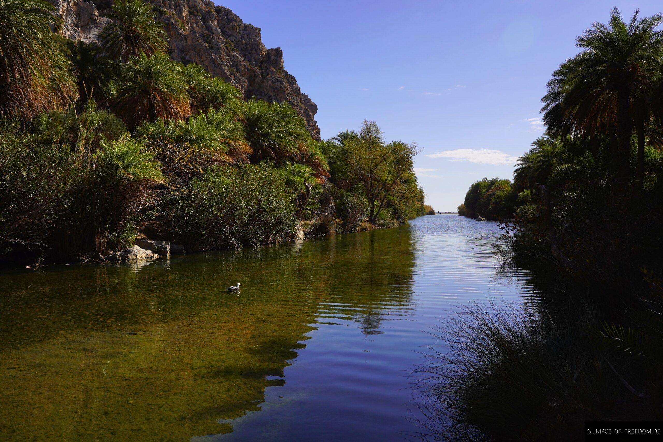 Blick ueber das stille Gewaesser zwischen Palmen scaled Blick über das stille Gewässer zwischen Palmen