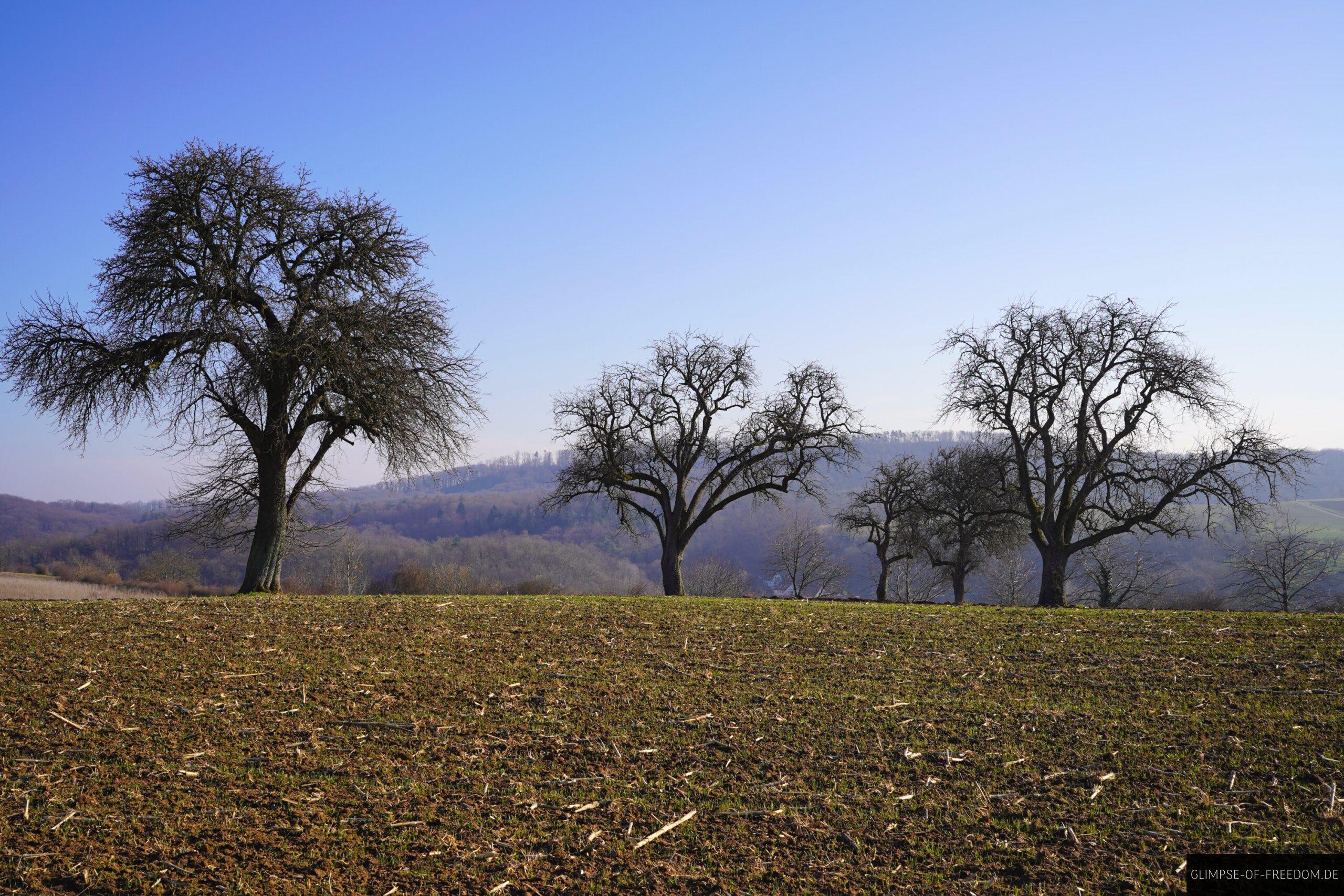 Blick ueber die Felder bei Oberderdingen scaled Blick über die Felder bei Oberderdingen