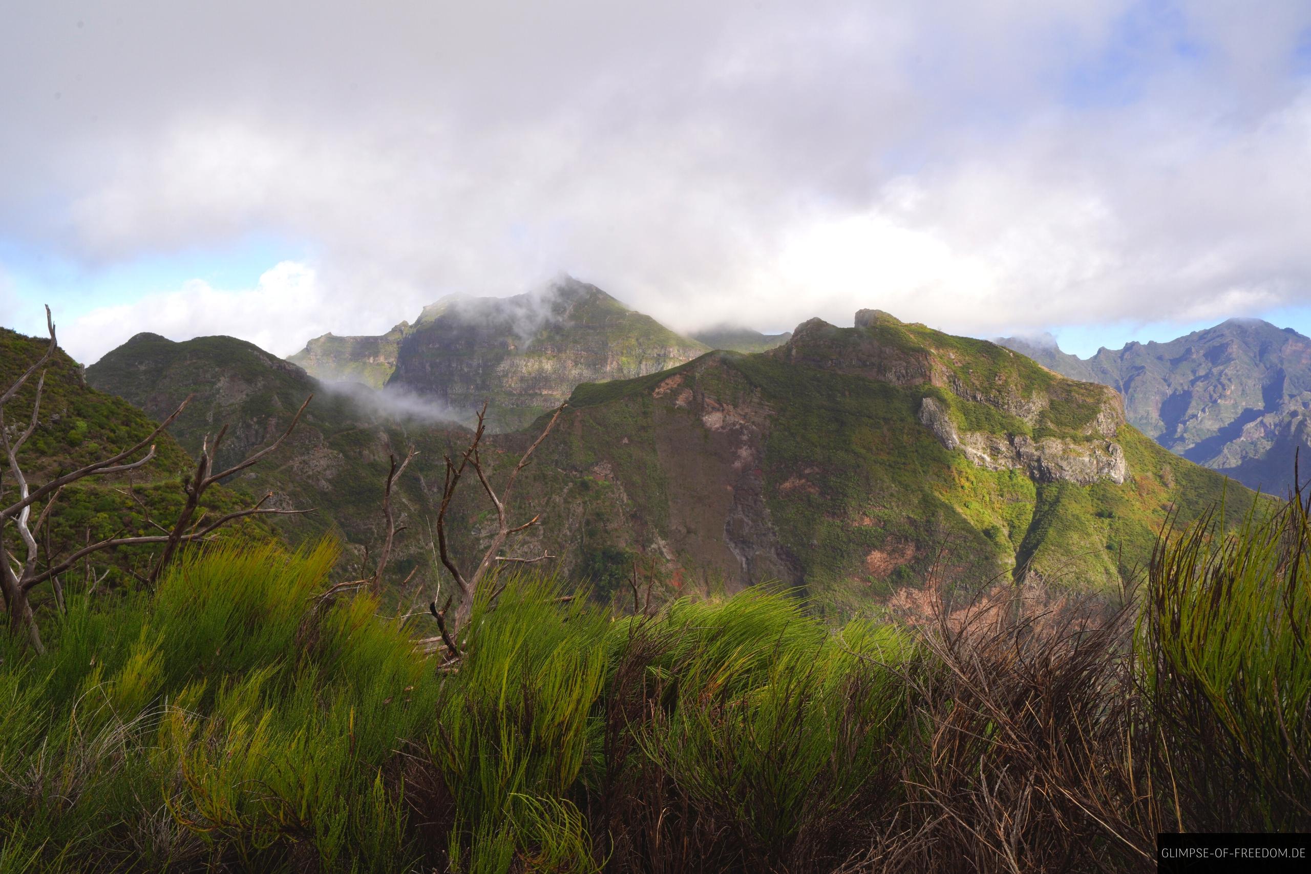 Blick ueber die gruene Berglandschaft am Pico Grande Blick über die grüne Berglandschaft am Pico Grande