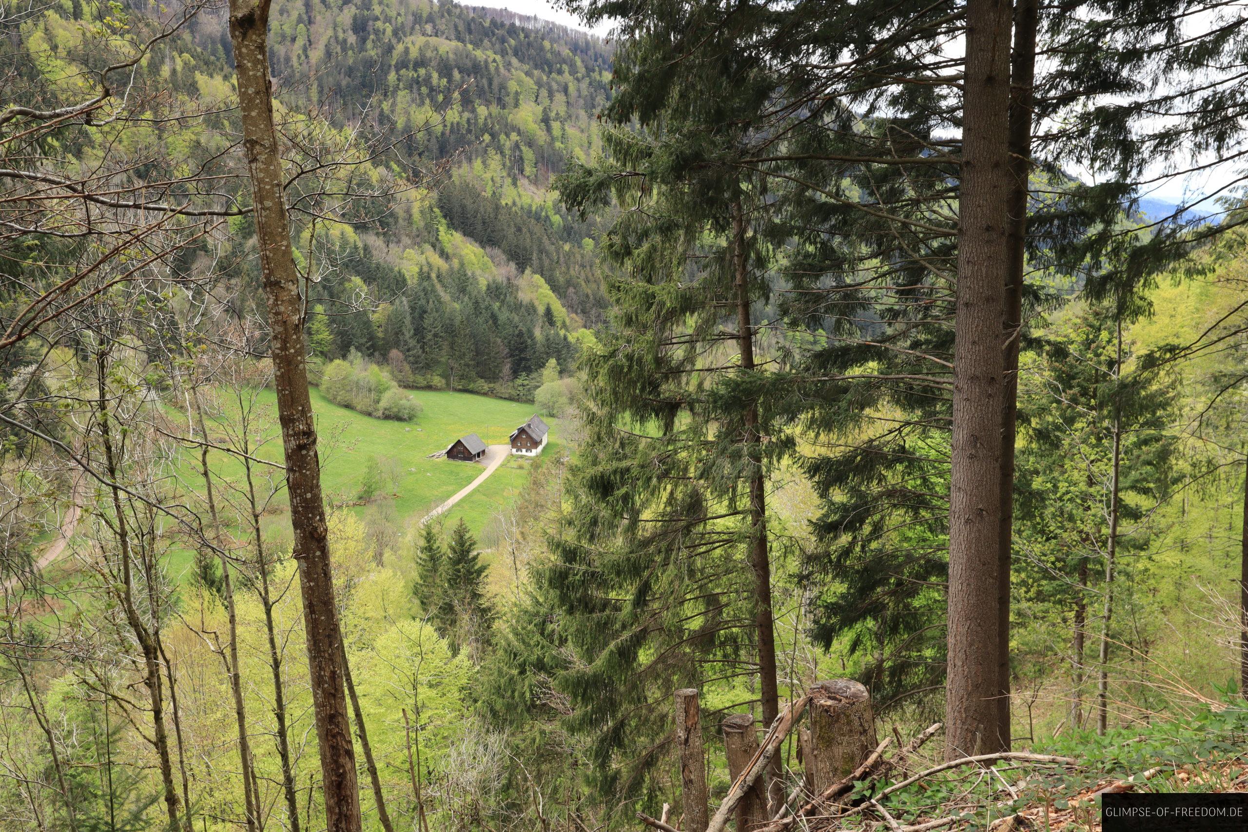 Blick vom Hinterwaldkopf Wanderweg zurueck ins Tal