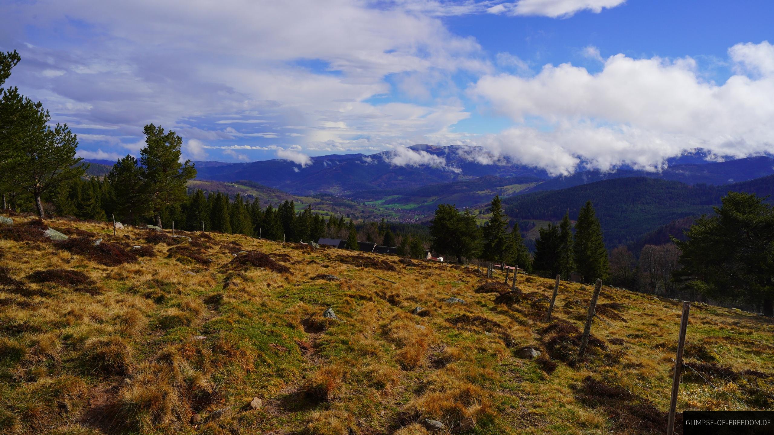 Blick von einer Weide in den Vogesen Blick von einer Weide in den Vogesen