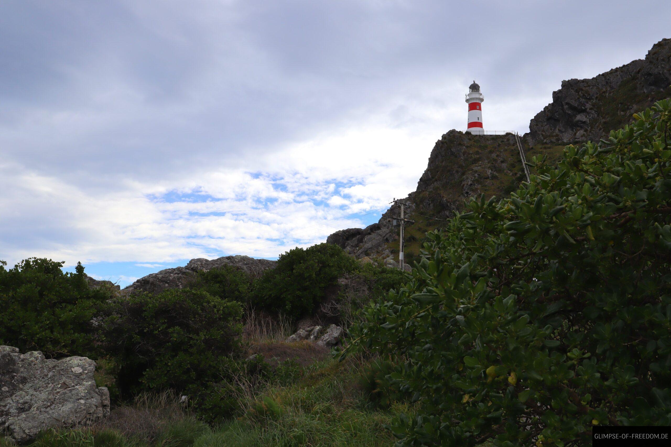 Blick zum Cape Palliser Lighthouse scaled Blick zum Cape Palliser Lighthouse