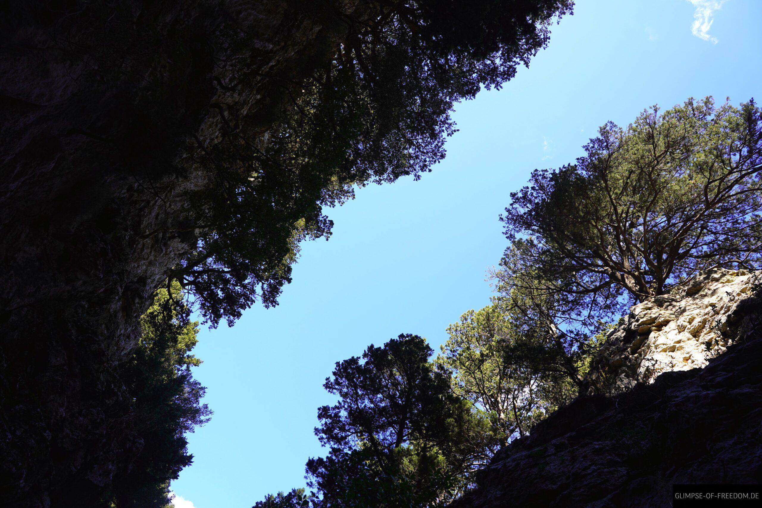 Blick zum Himmel aus der Schlucht heraus