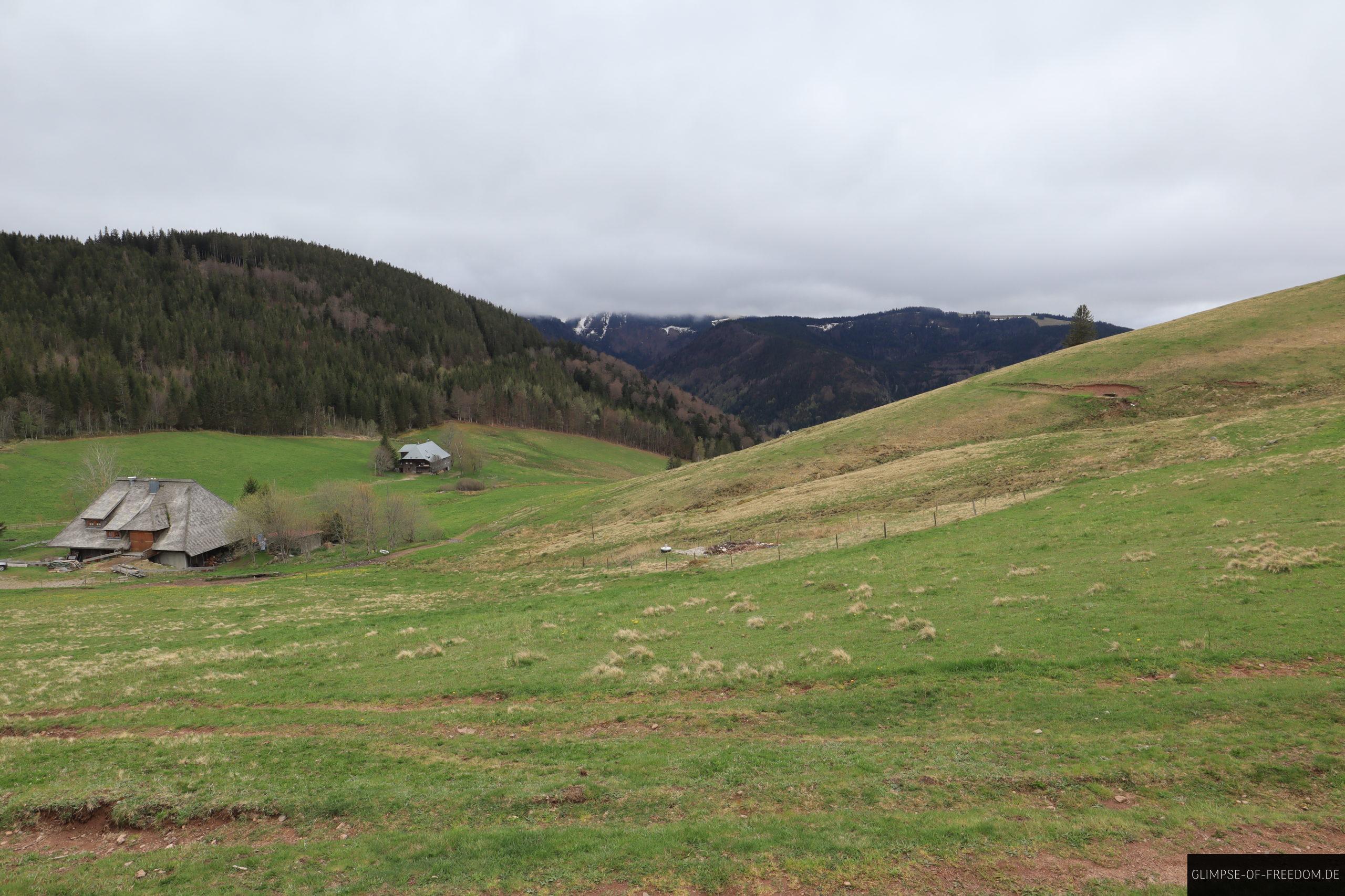 Blick zurueck auf den Weg scaled Blick zurueck auf den Weg