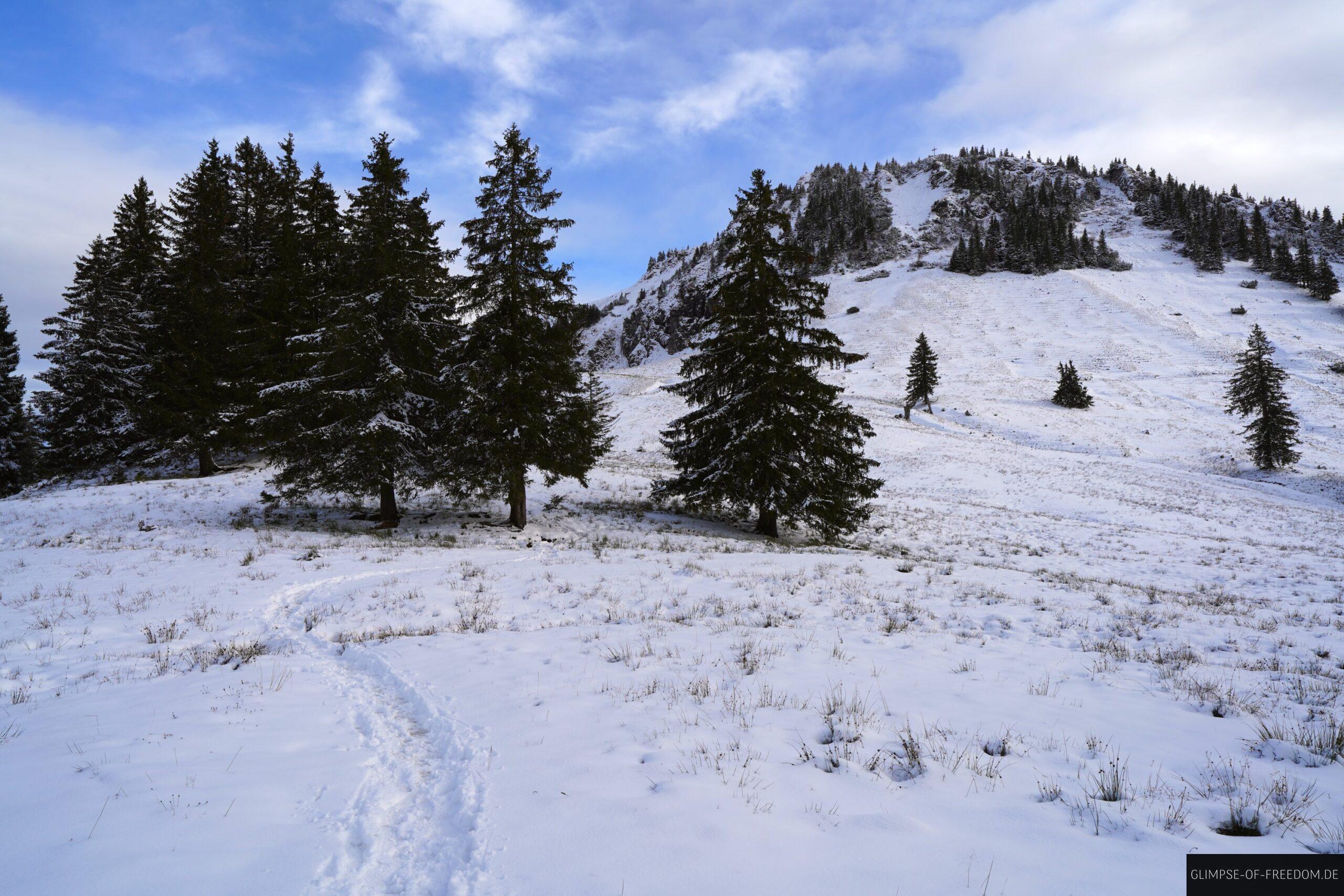 Blick zurueck zum Gipfel des Bergs Spieser scaled Blick zurück zum Gipfel des Bergs Spieser