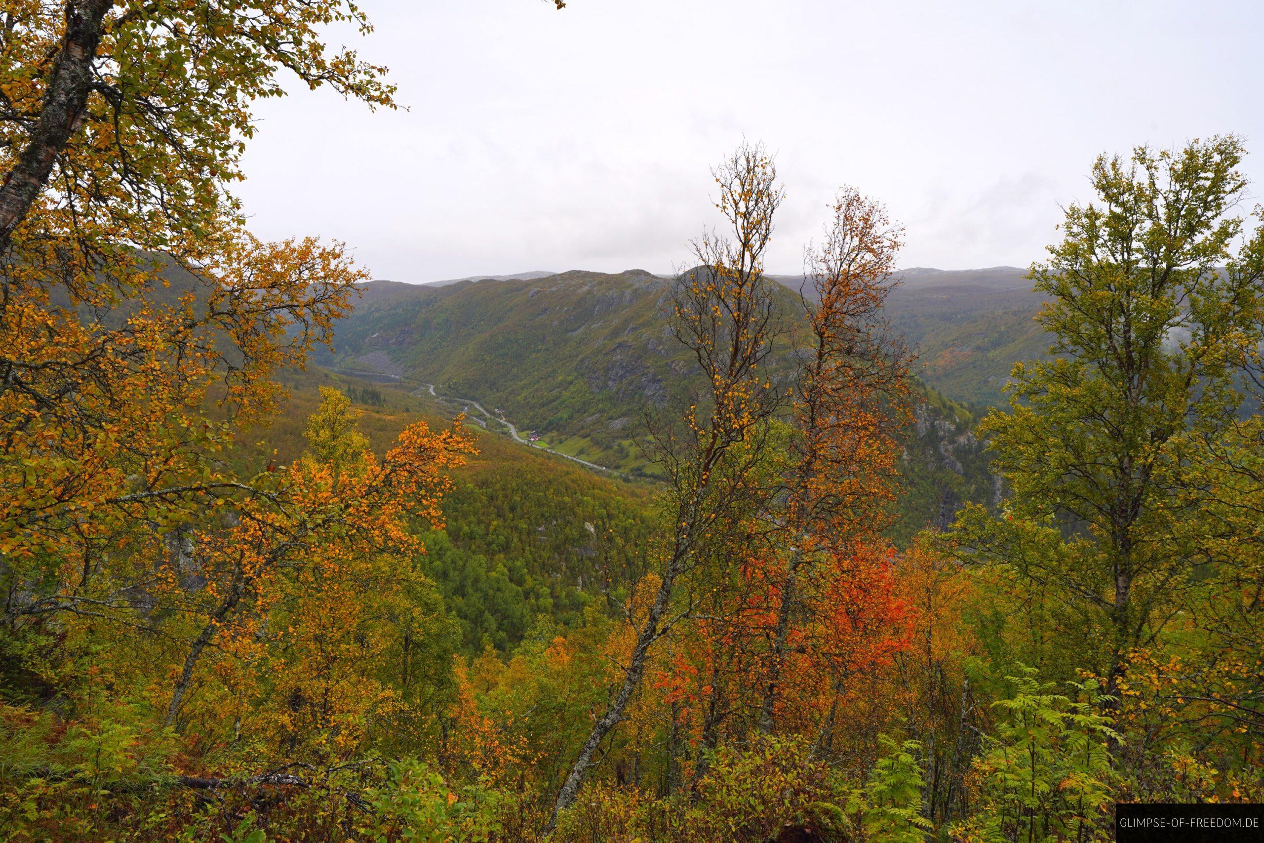 Blickl ins Tal in der farbenfrohen Herbstlandschaft scaled Blickl ins Tal in der farbenfrohen Herbstlandschaft