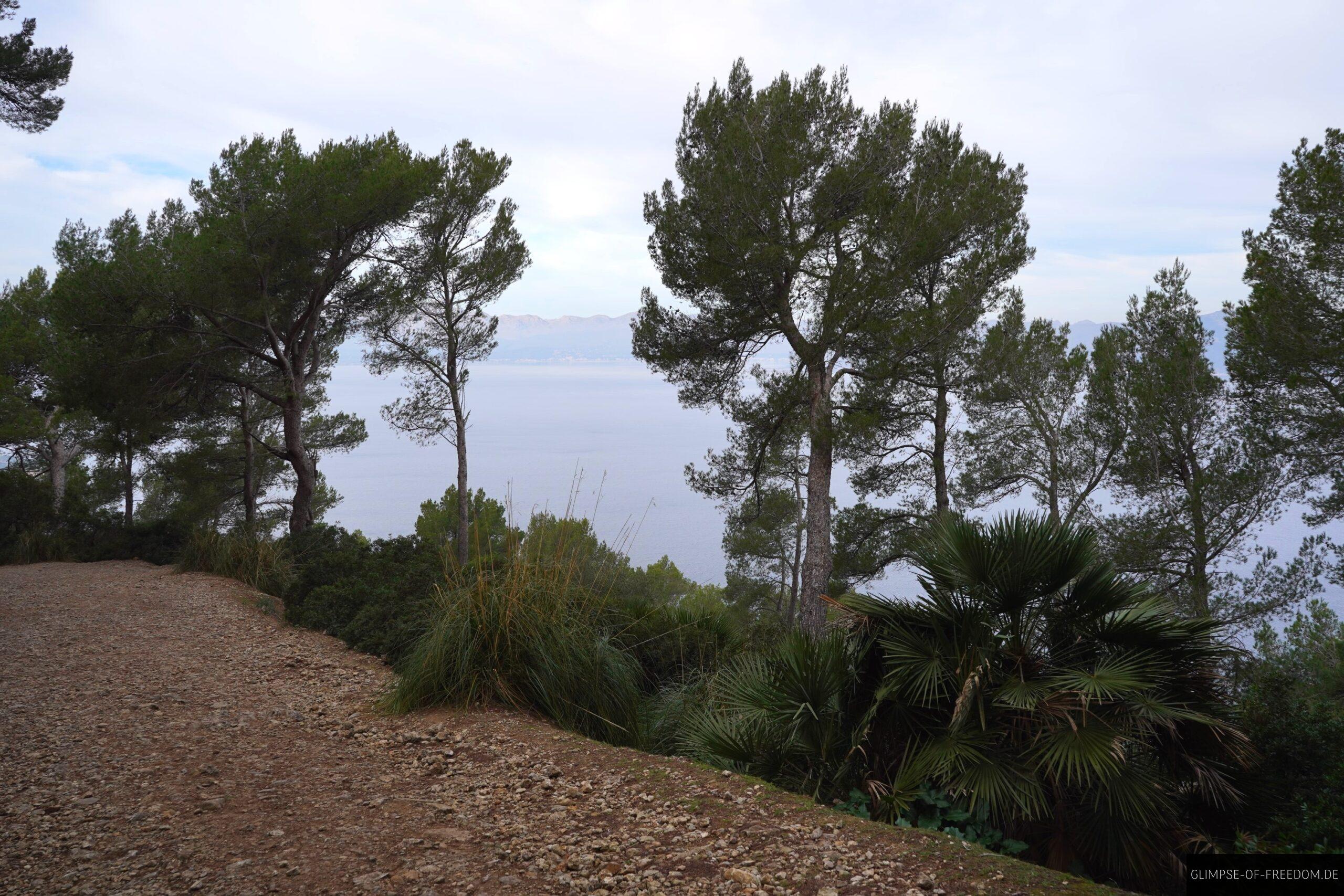 Breiter Weg zum Talaia dAlcudia scaled Breiter Weg zum Talaia d’Alcudia