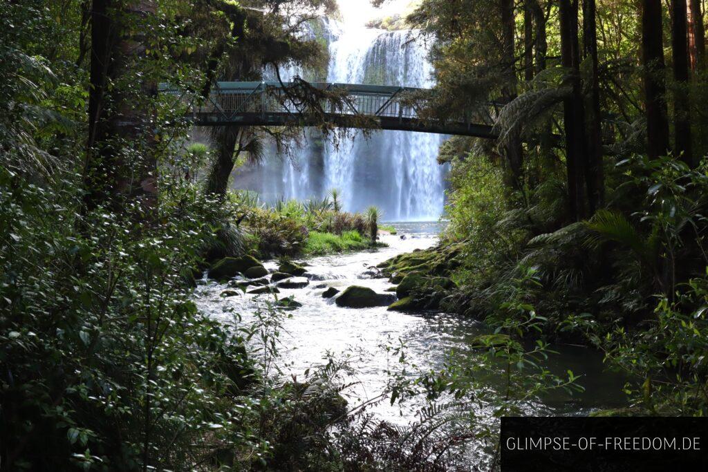 Brücke an den paradisischen Whangarei Falls