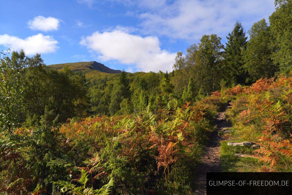 Bunte Natur auf der Raudmelen Wanderung