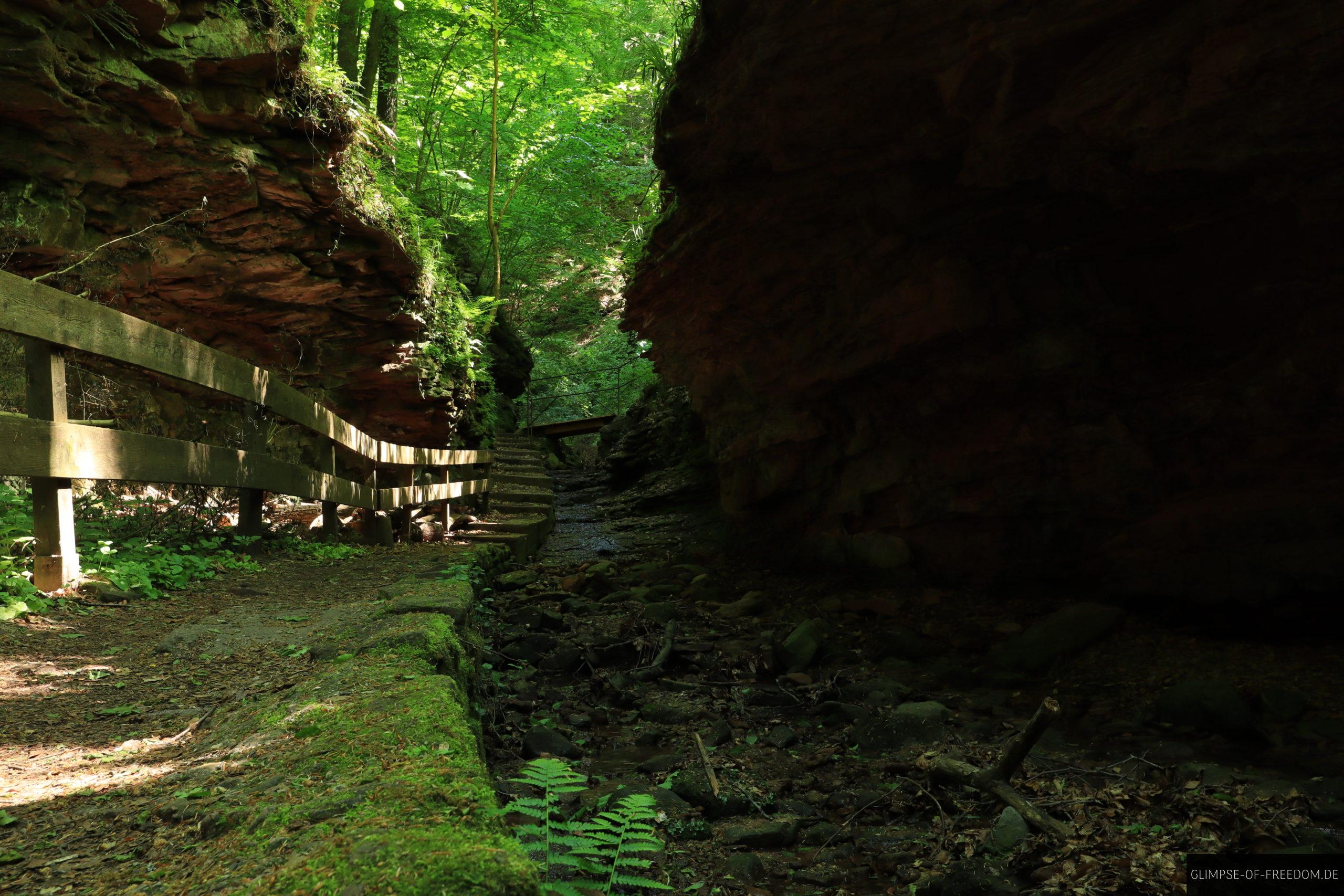 Buntsteinformationen in der Seltenbachschlucht scaled Buntsteinformationen in der Seltenbachschlucht