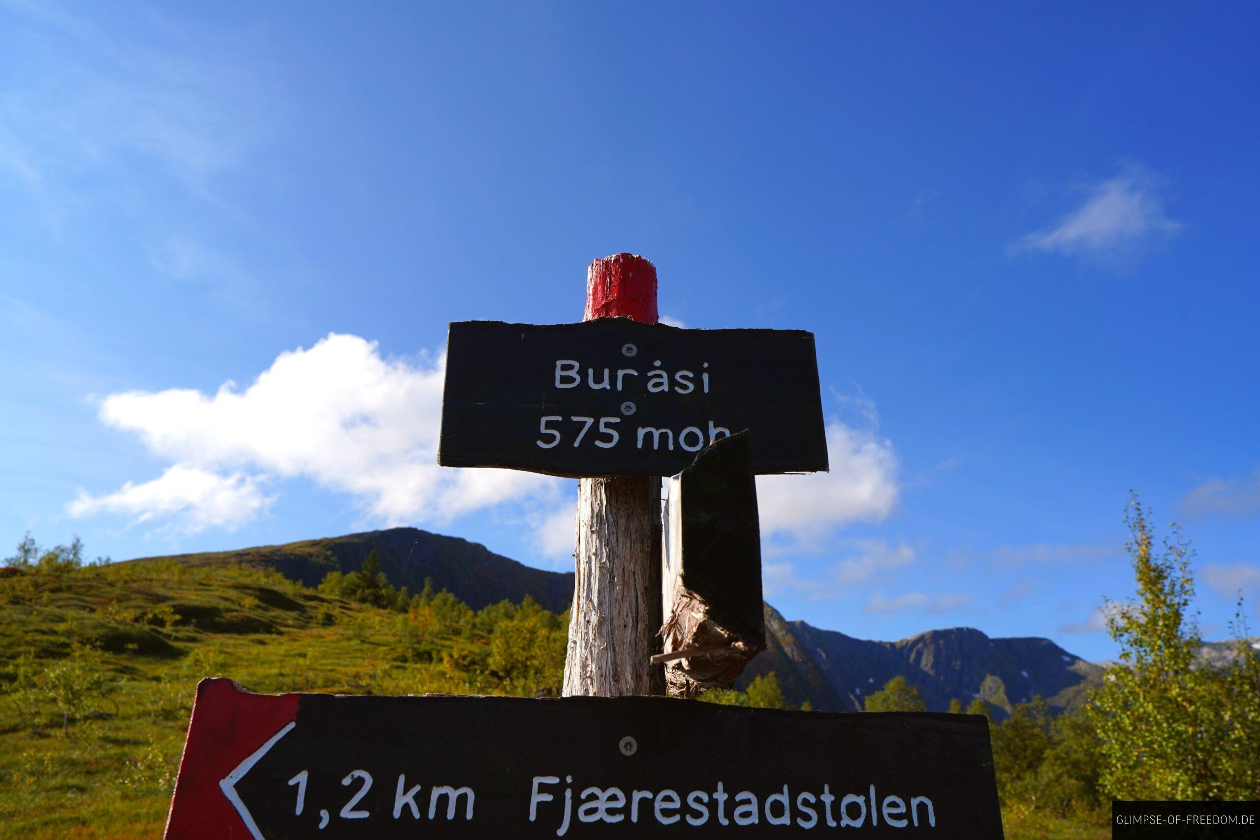 Burasi scaled Burasi