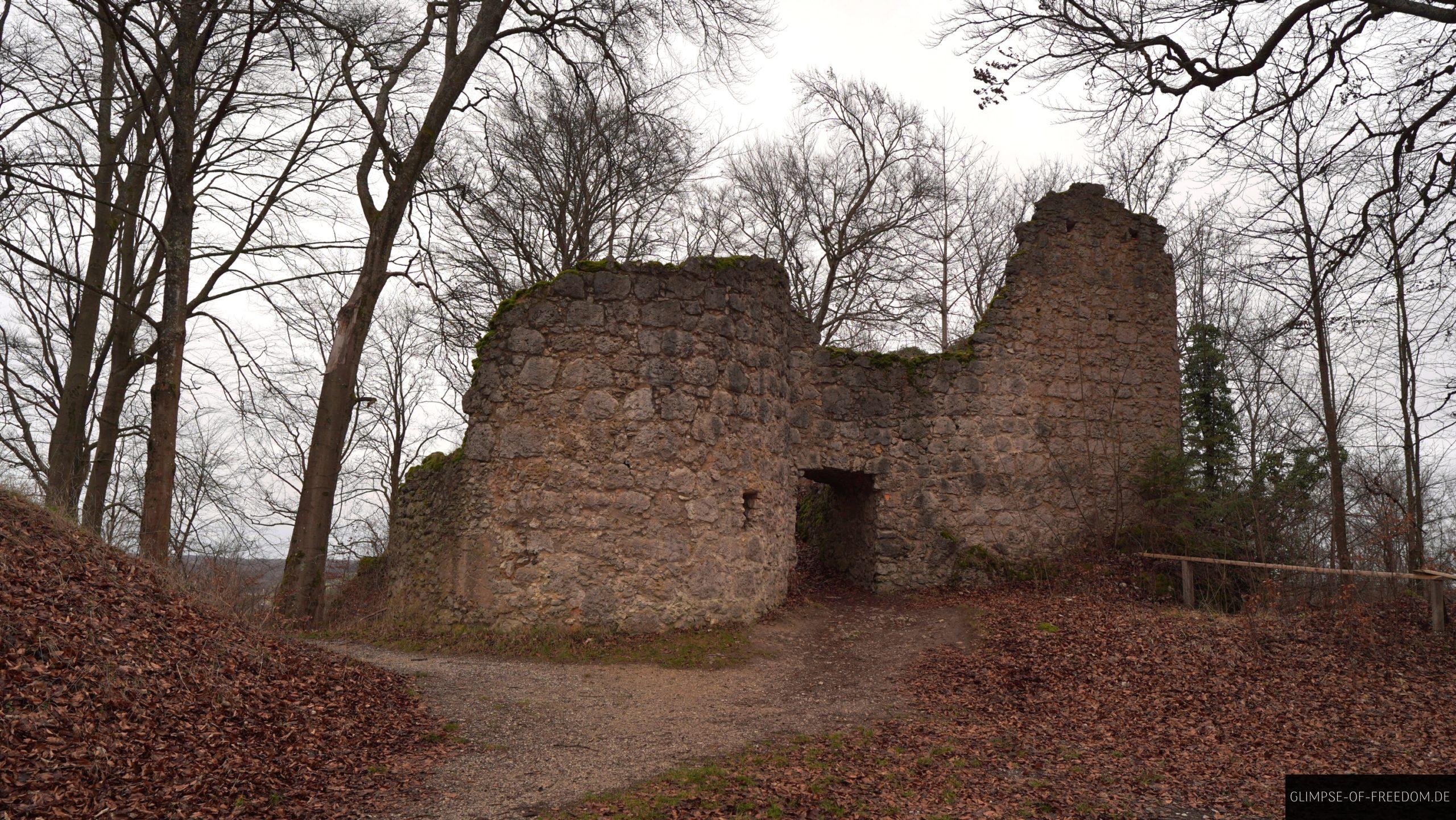 Burgruine Leienfels