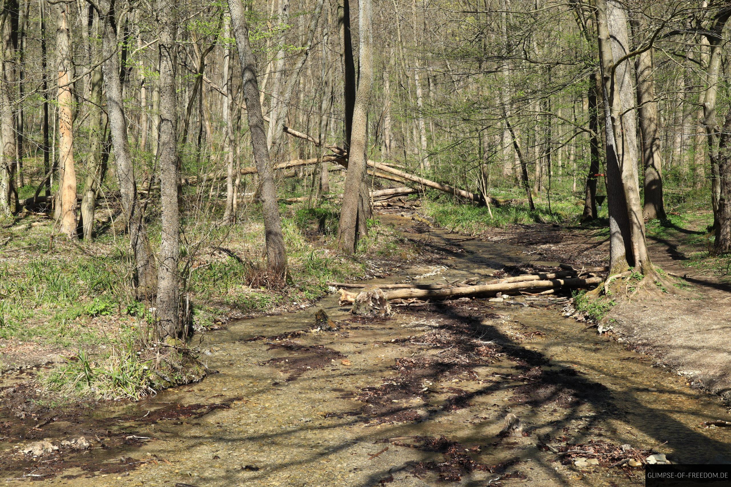 Butbach in der Hohenstein Region scaled Butbach in der Hohenstein-Region