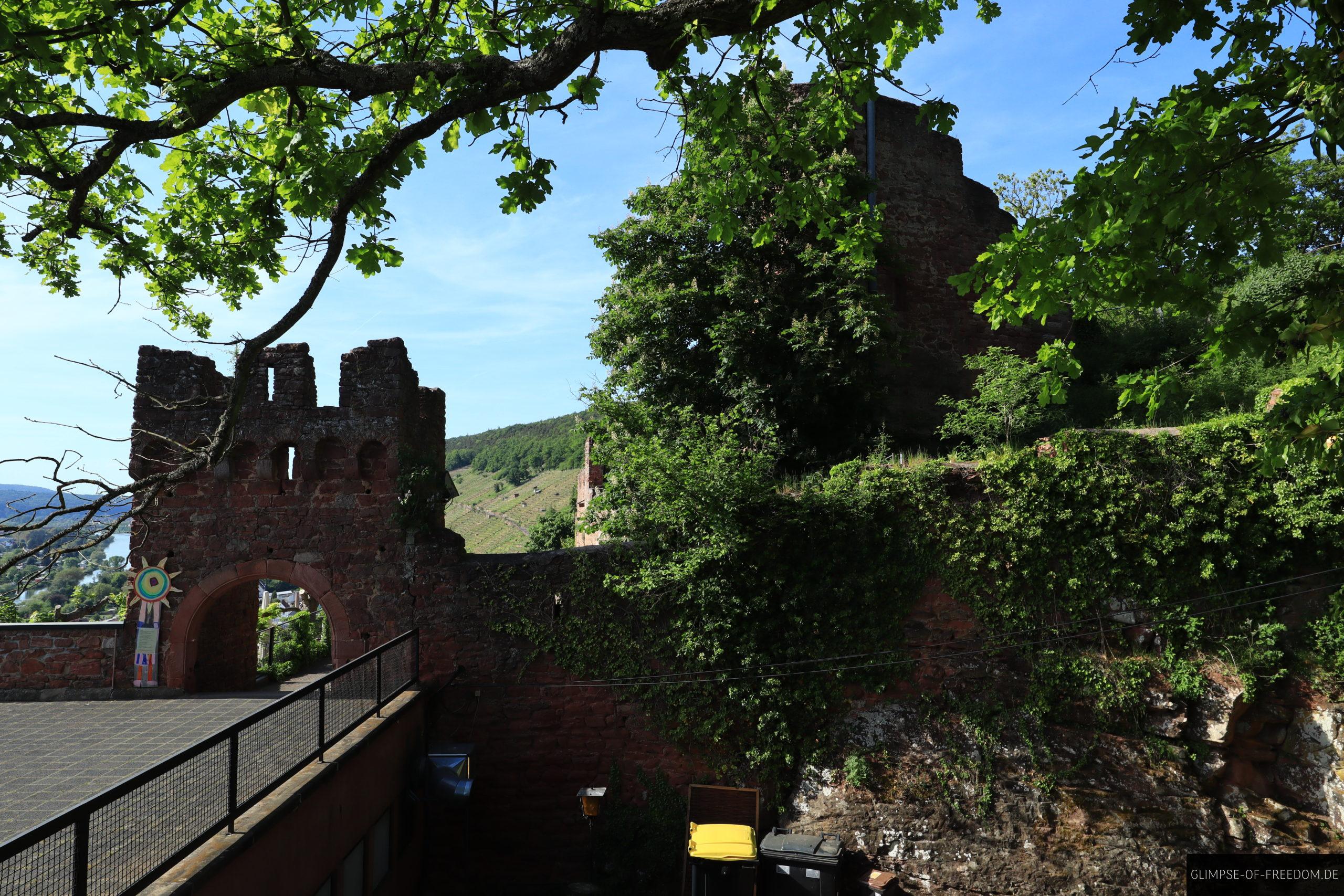 Clingenburg scaled Clingenburg