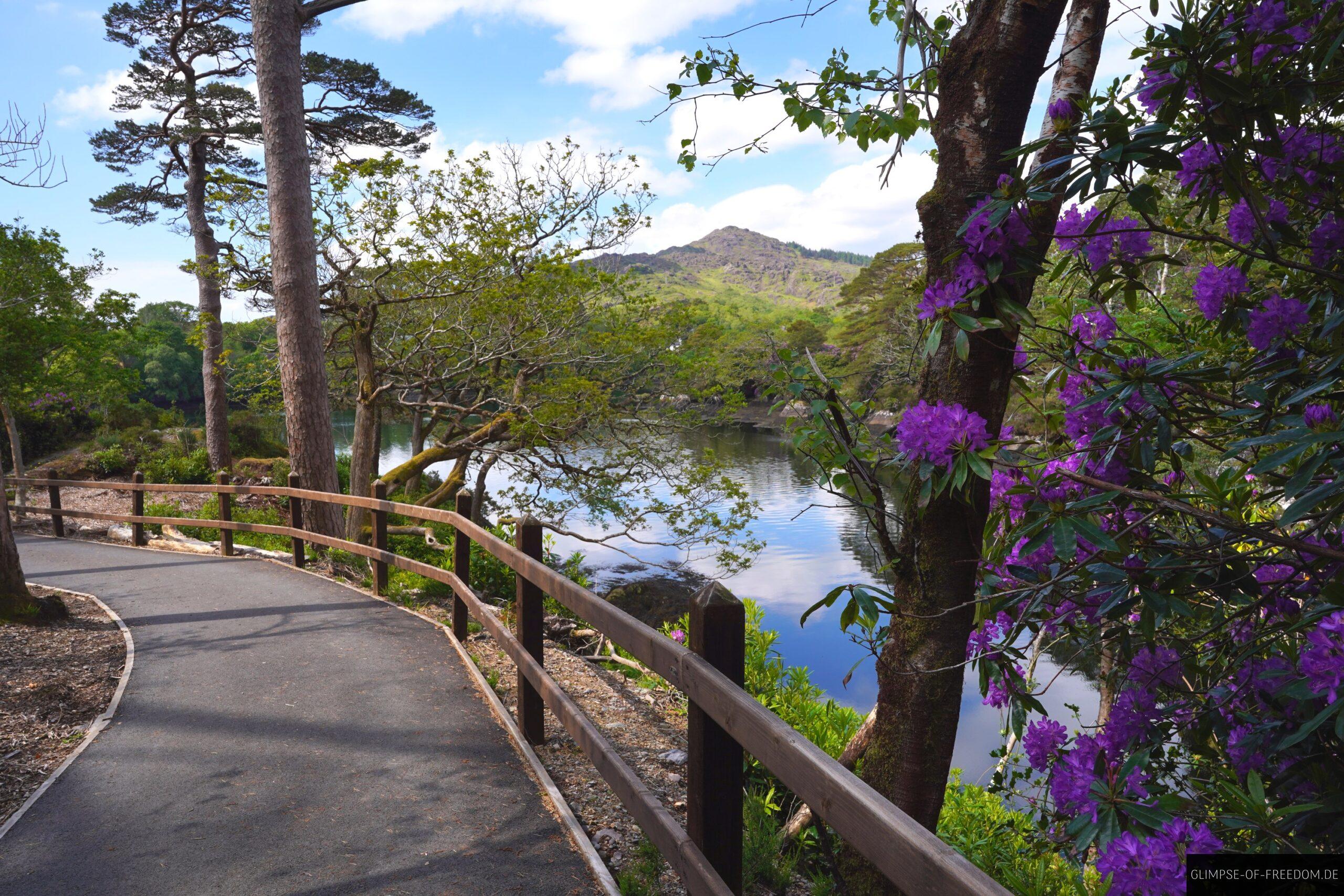 Coastal Woodland Walkway scaled Coastal Woodland Walkway