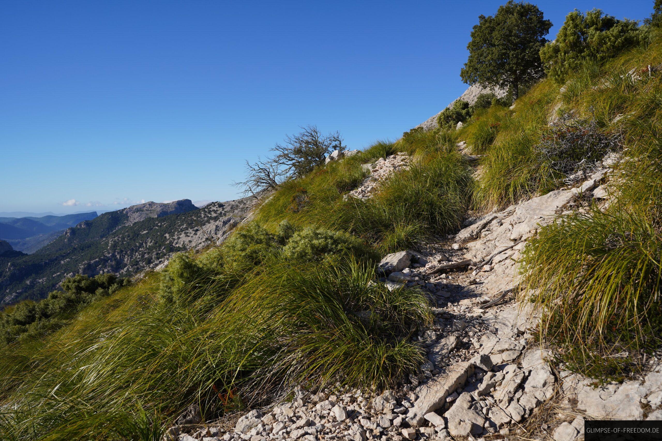 DSC08091 scaled DSC08091