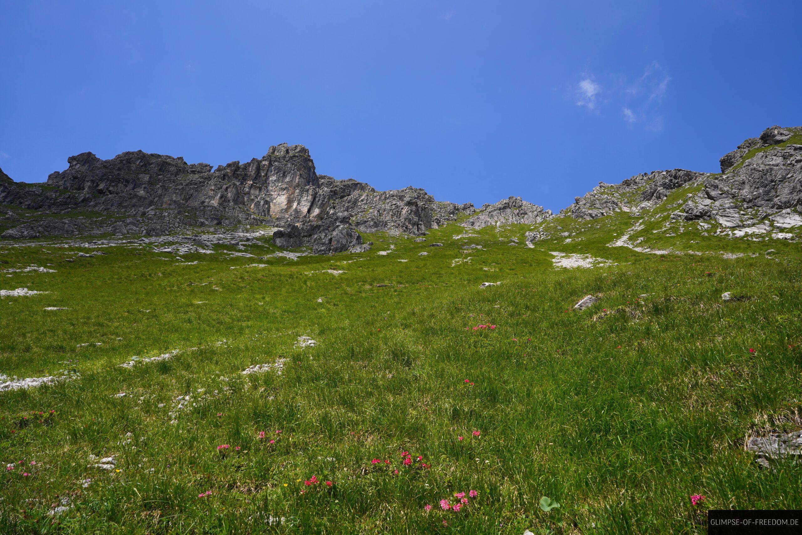 Den steilen Grashang hinauf.bak scaled Den steilen Grashang hinauf.bak